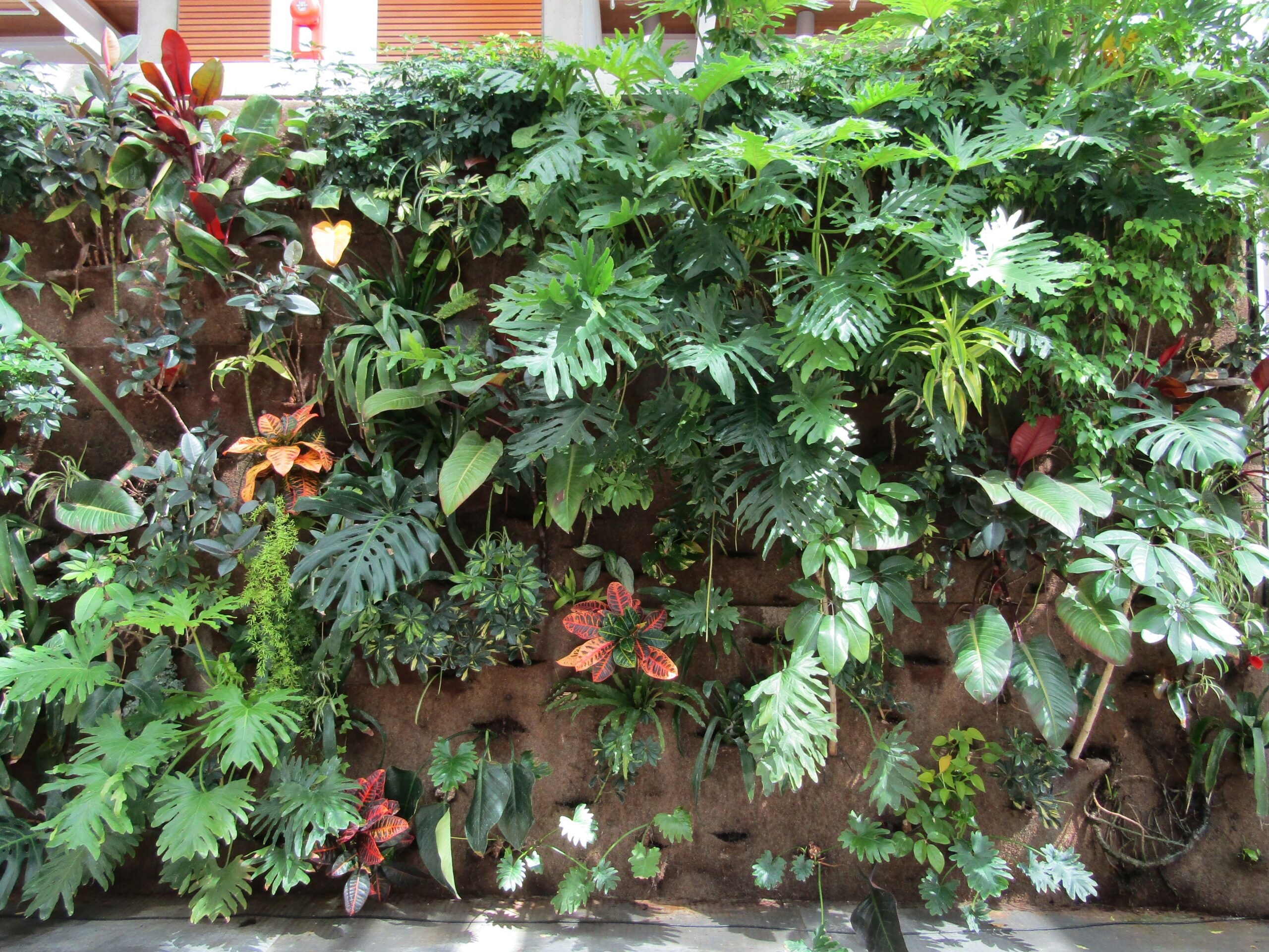 Create a Vertical Garden (image credits: wikimedia)