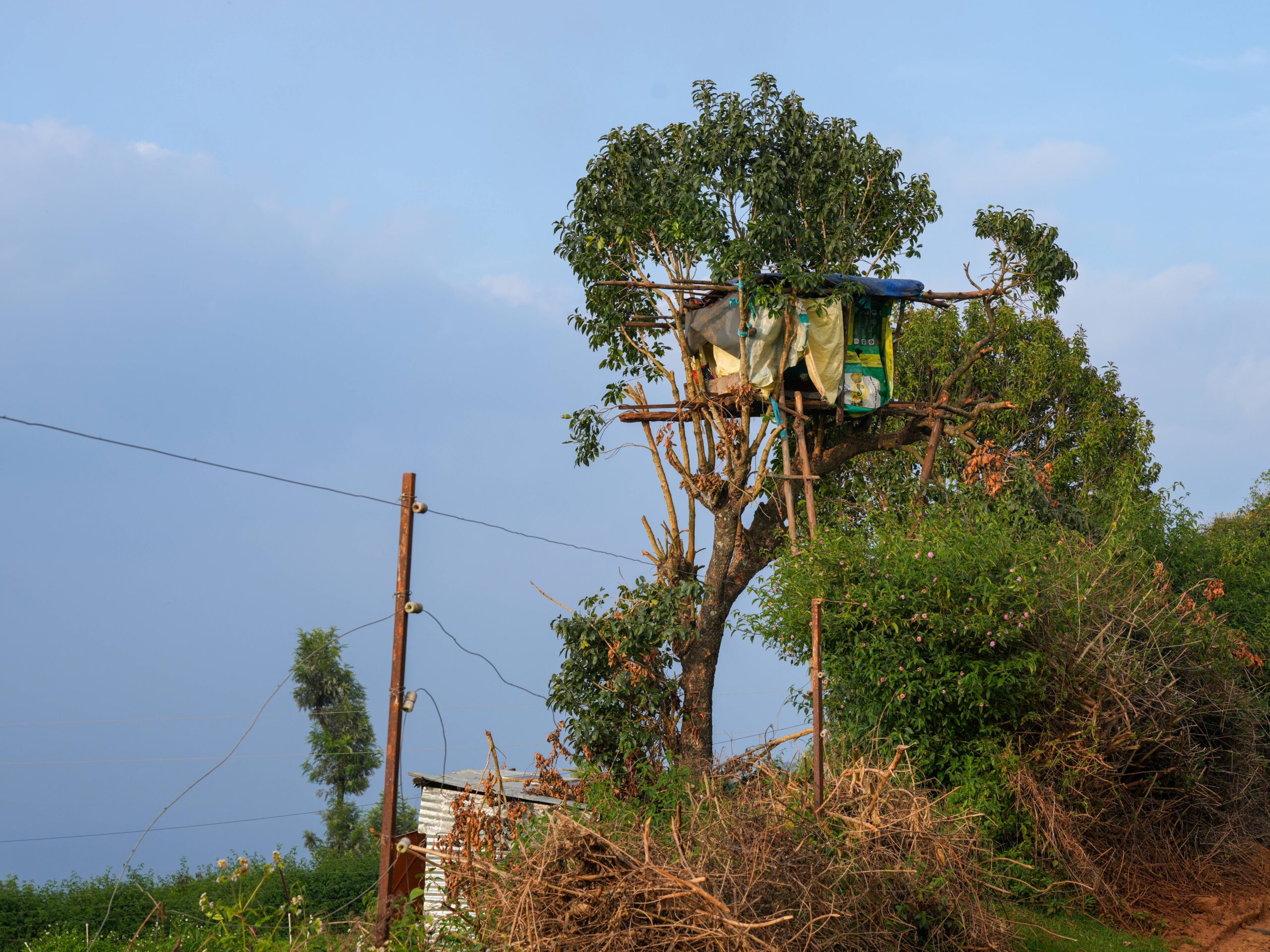 Safety First: Building Guidelines (image credits: wikimedia)