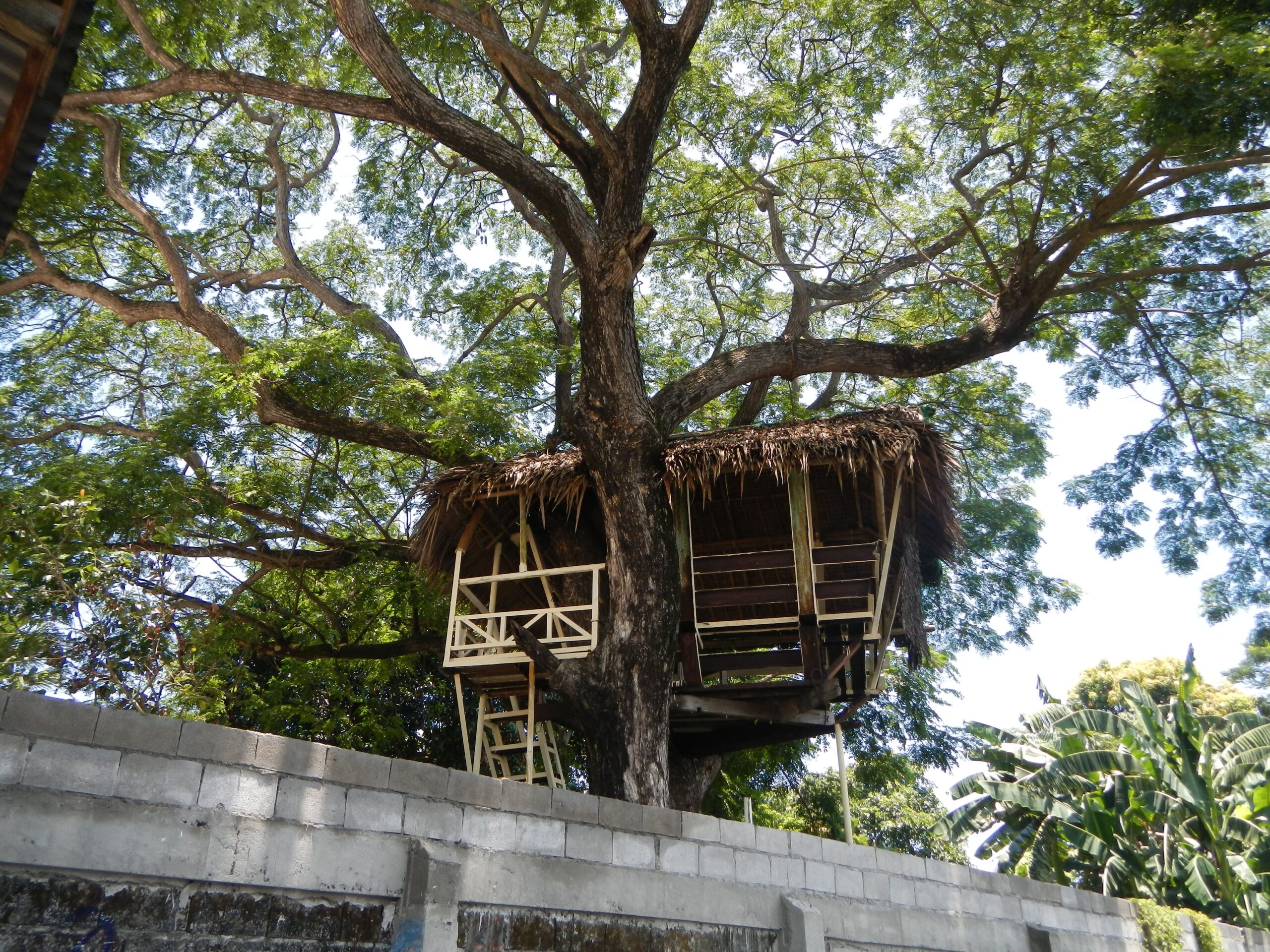 Maintenance and Upkeep (image credits: wikimedia)
