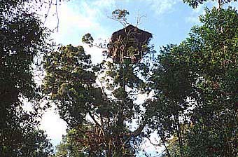 Conclusion: The Joy of Building (image credits: wikimedia)