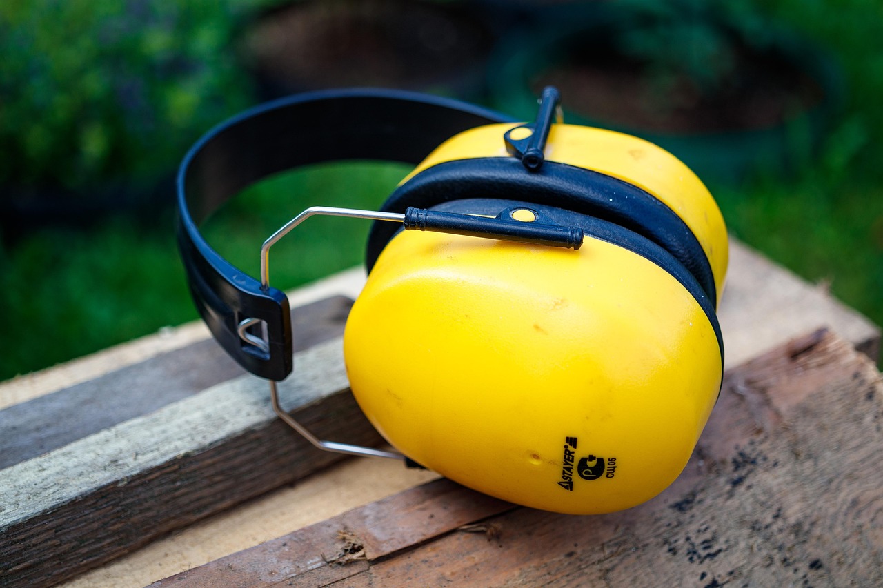 Noise Levels (image credits: pixabay)