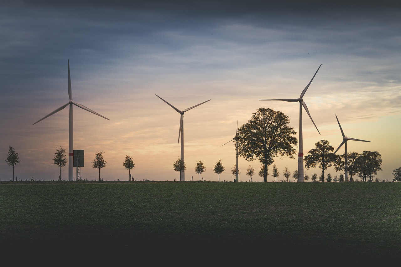 Environmental Considerations (image credits: pixabay)