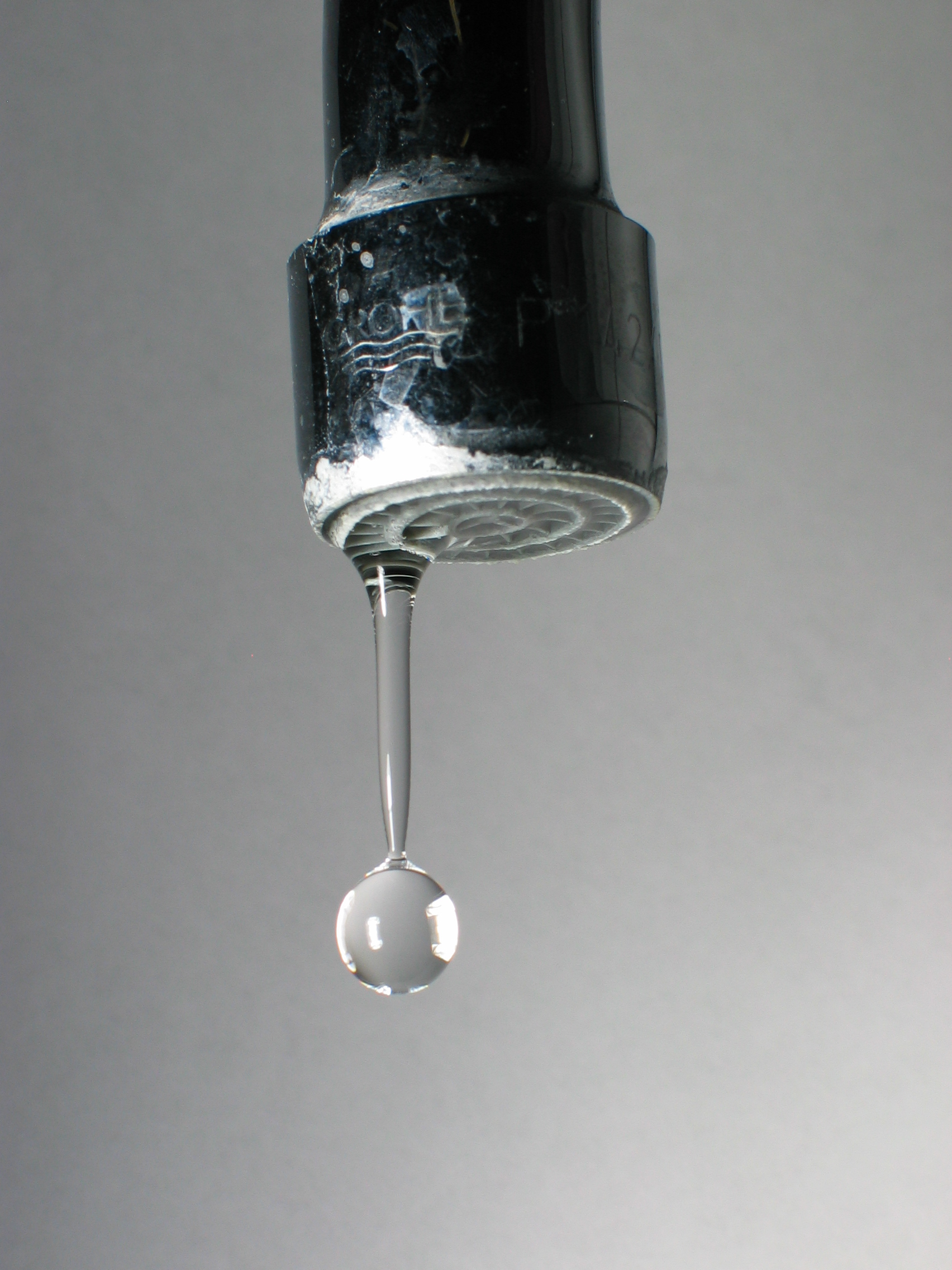 Don’t Ignore the Drip: Health and Home Risks (image credits: wikimedia)
