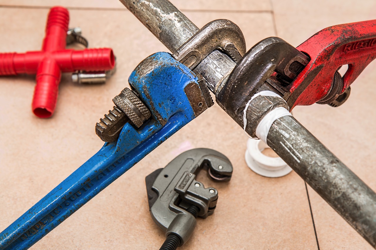 When to Call a Professional: Knowing Your Limits (image credits: pixabay)