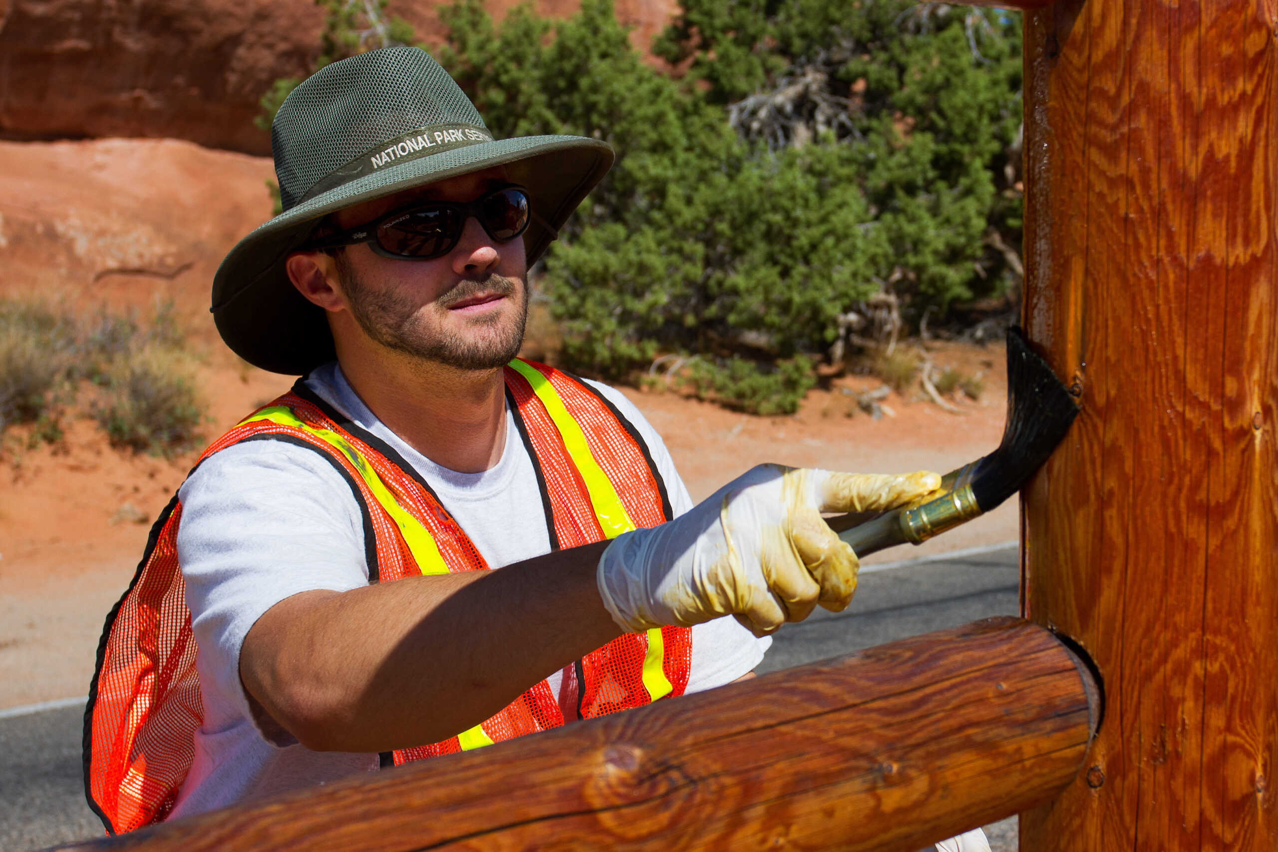 Assess Fences and Gates (image credits: wikimedia)