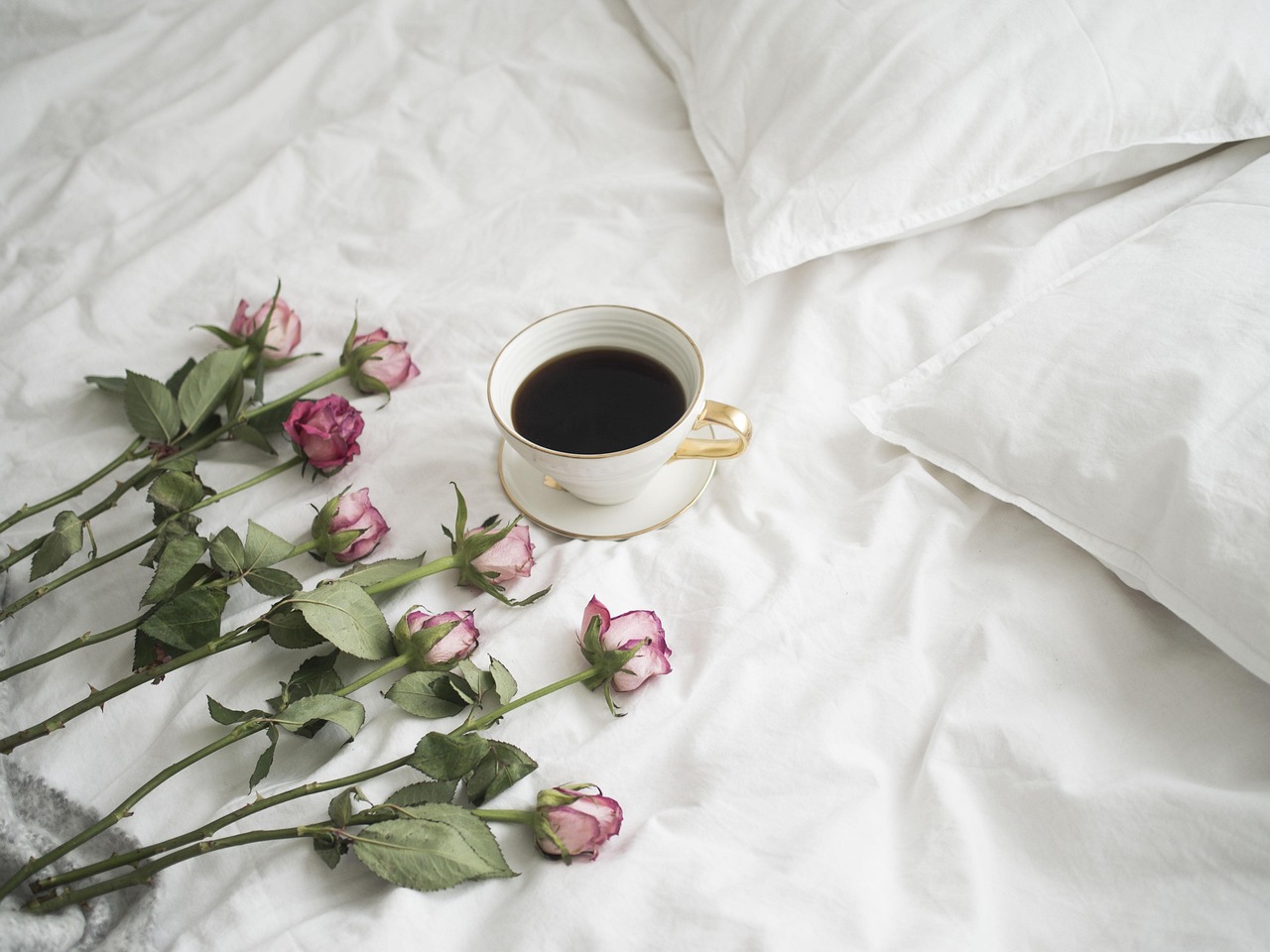 The Final Touch: Assembling and Placing the Bed (image credits: pixabay)