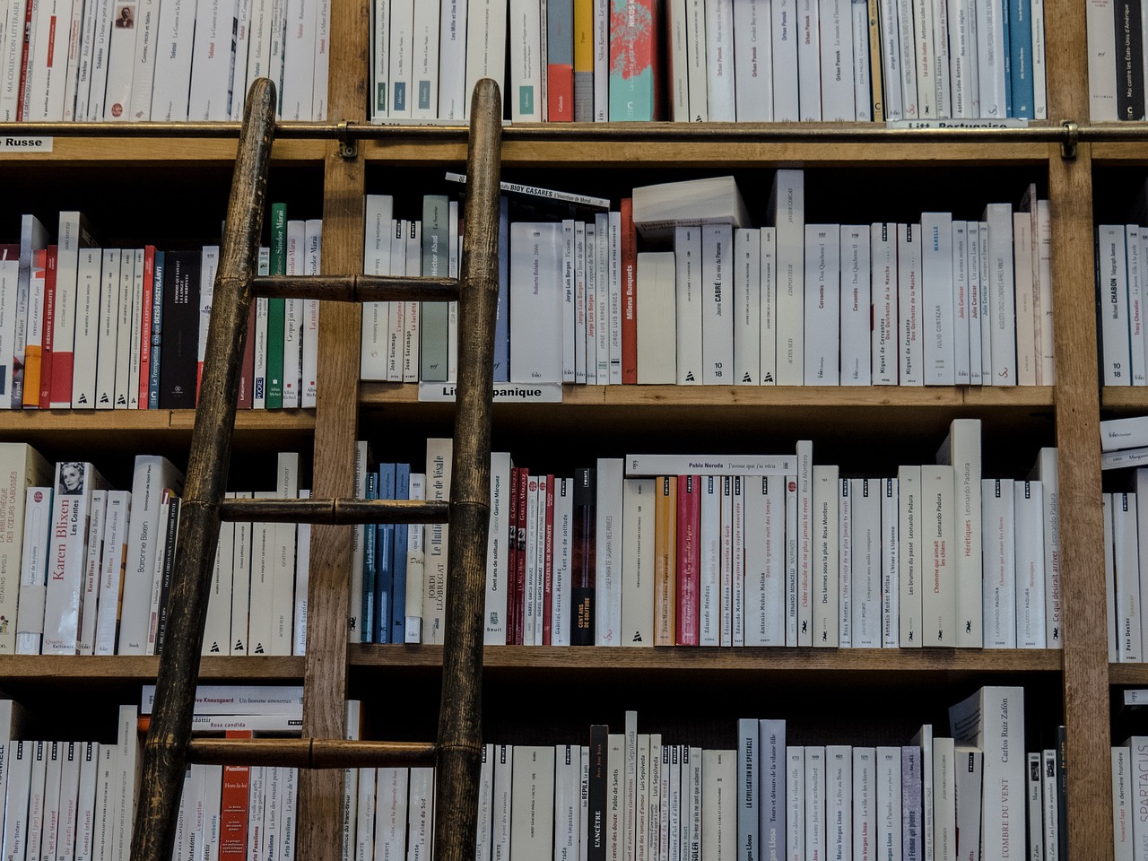 Multi-Purpose Wooden Ladder Shelf (image credits: pixabay)