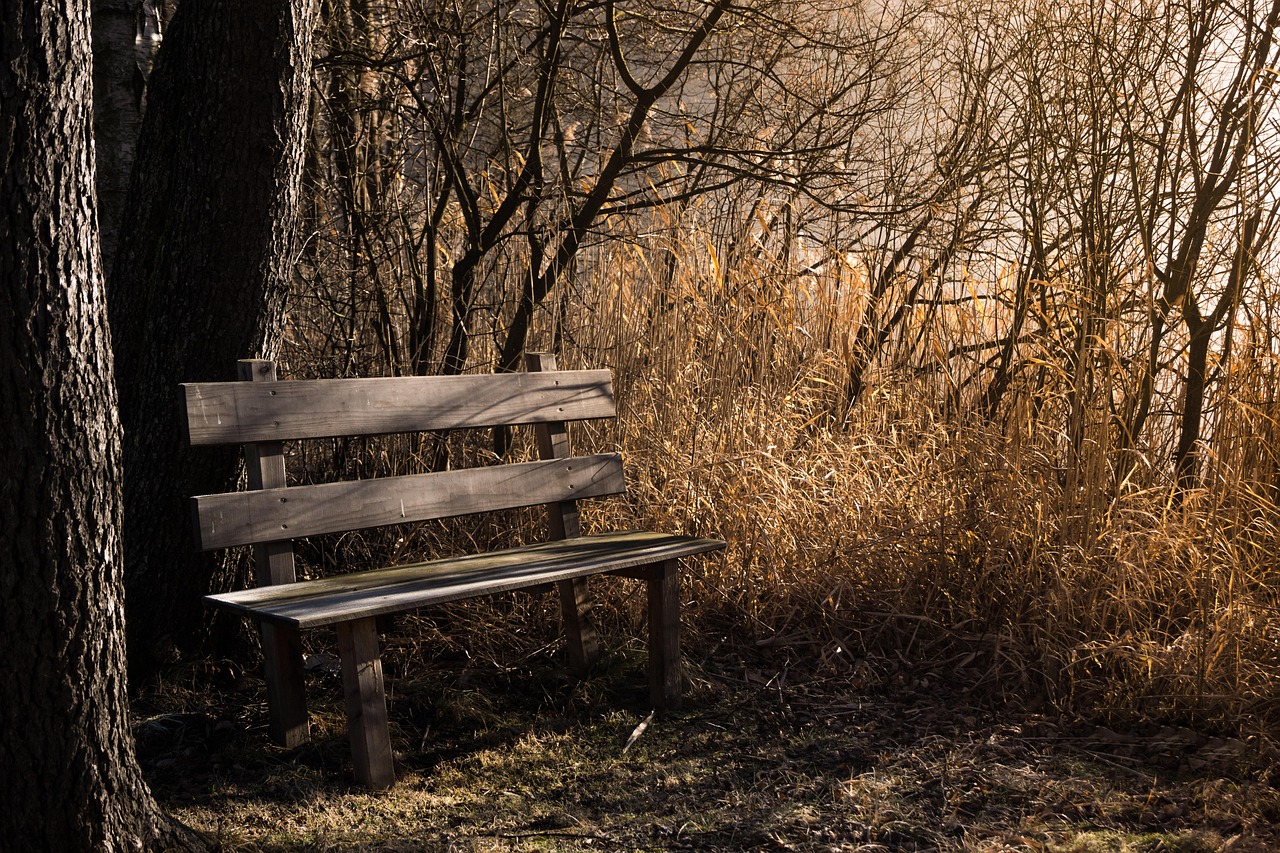 DIY Wooden Bench (image credits: pixabay)