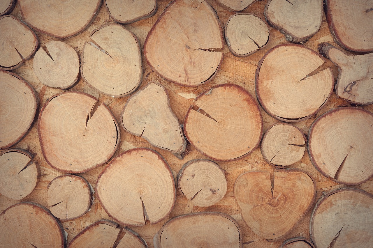 Wooden Wall Art (image credits: pixabay)