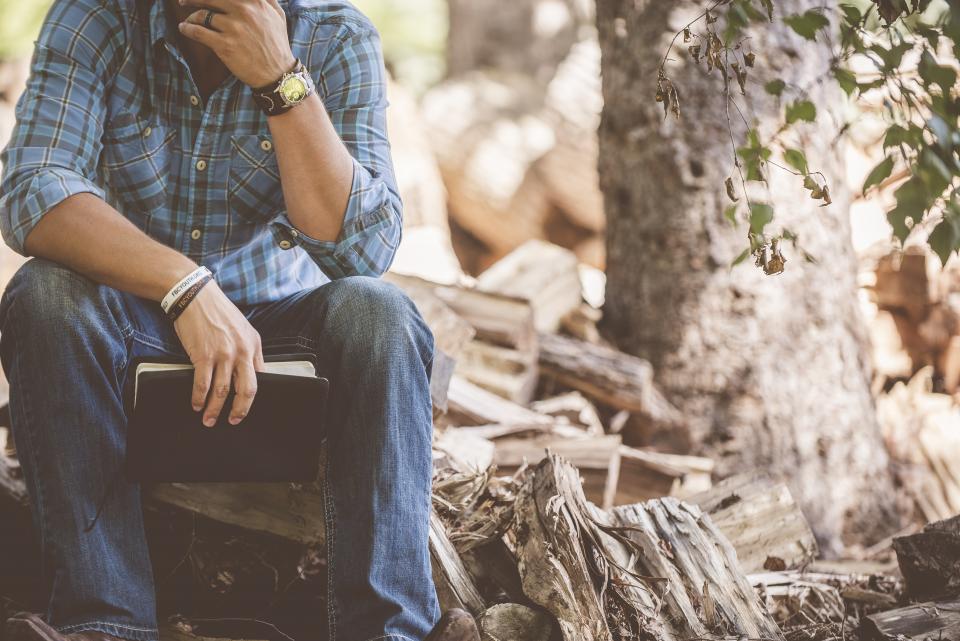 Finding the Perfect Tree Trunk (image credits: stocksnap)