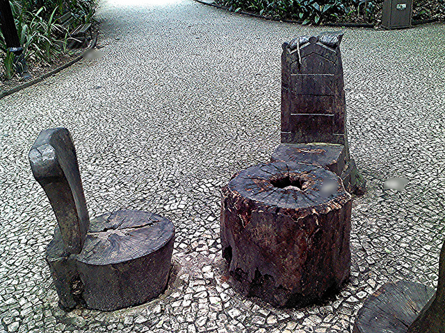 Tree Trunk Tables: A Sustainable Trend (image credits: wikimedia)
