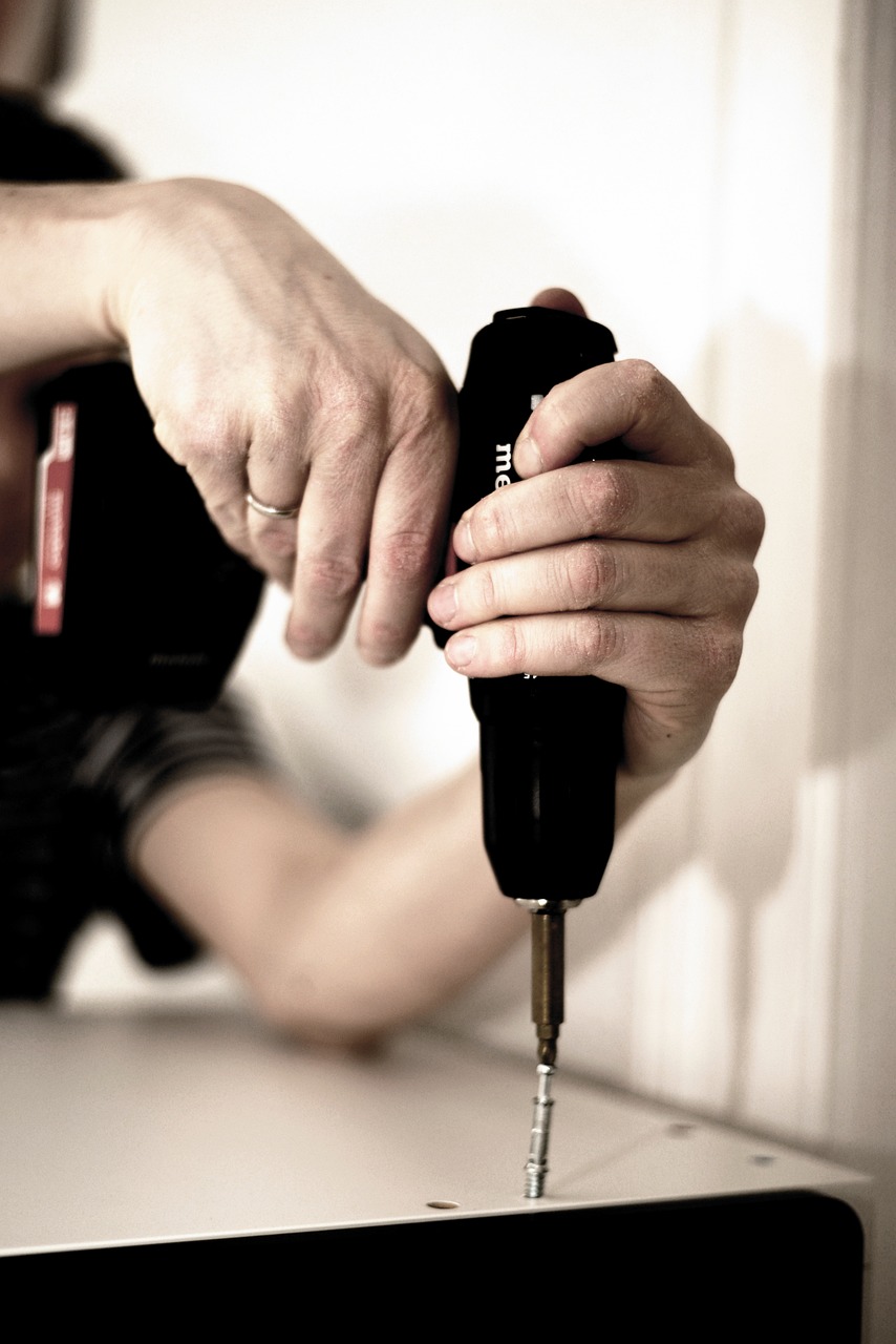 Examples of Real DIY Success Stories (image credits: pixabay)