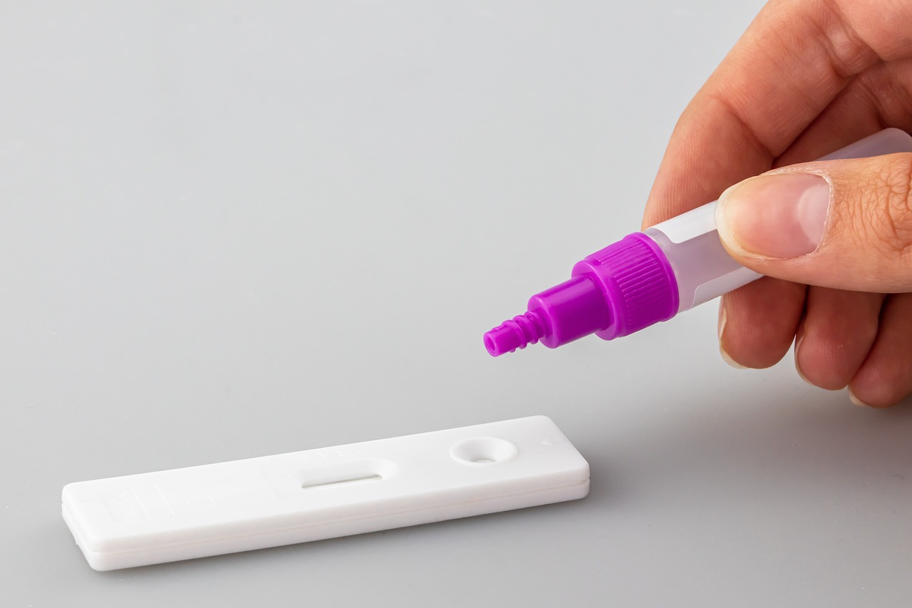 Using DIY Mold Testing Kits: Are They Worth It? (image credits: pixabay)
