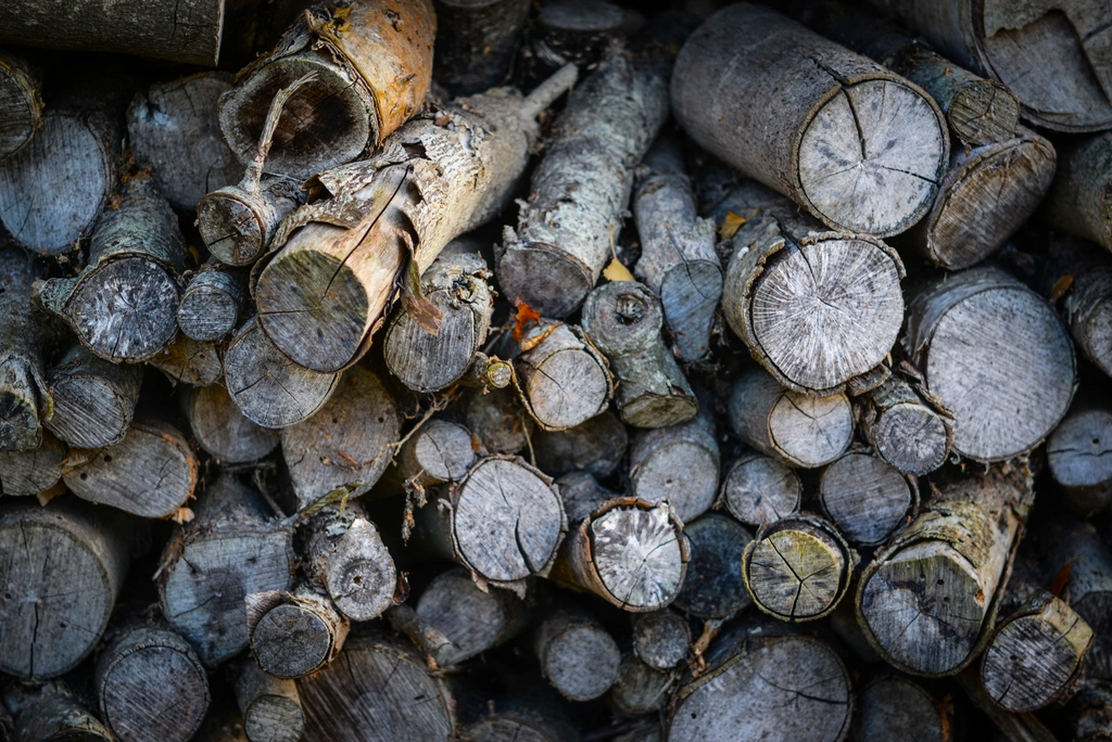Hidden Hauls at Neighborhood Clean-Up Events (image credits: rawpixel)