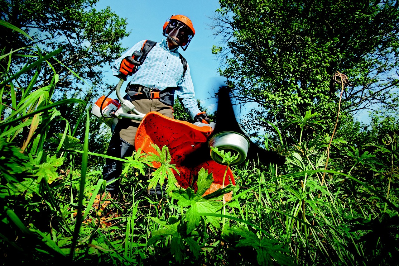 Gardening and Landscaping Skills (image credits: pixabay)