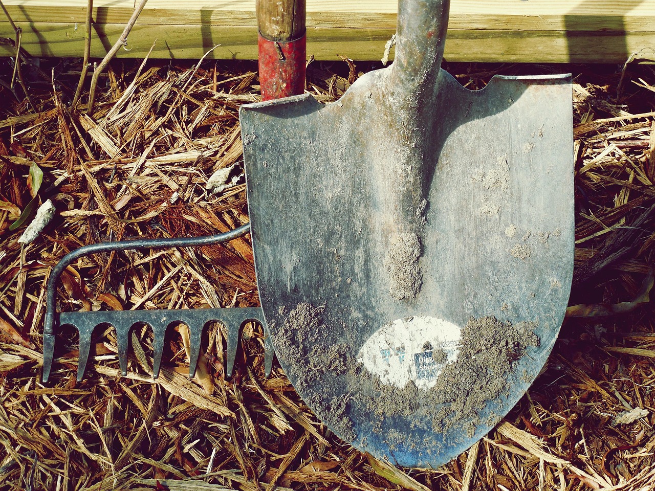 Problem-Solving and Resourcefulness (image credits: pixabay)