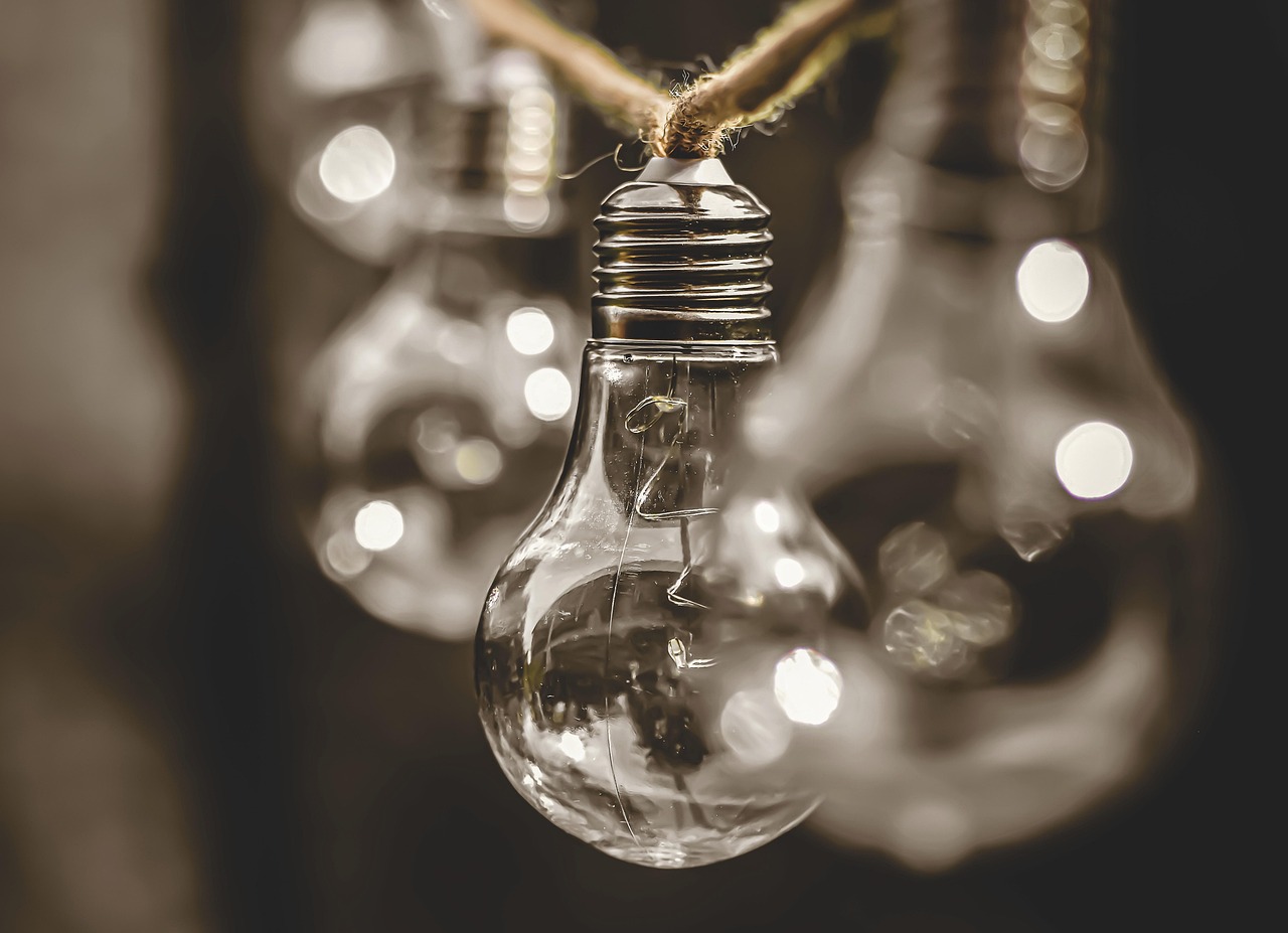 Promoting Sustainability and Responsibility (image credits: pixabay)
