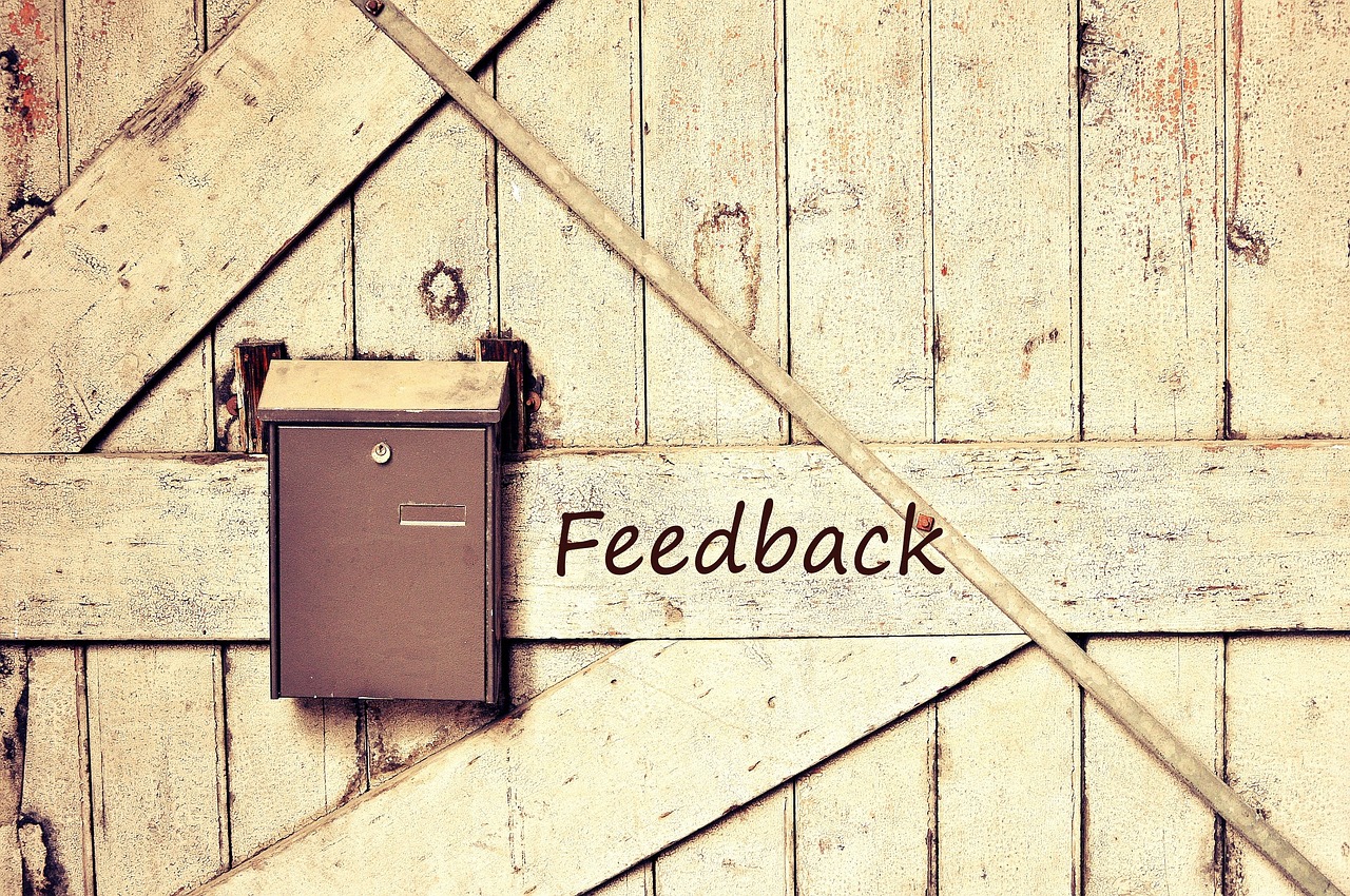 Not Seeking Feedback (image credits: pixabay)