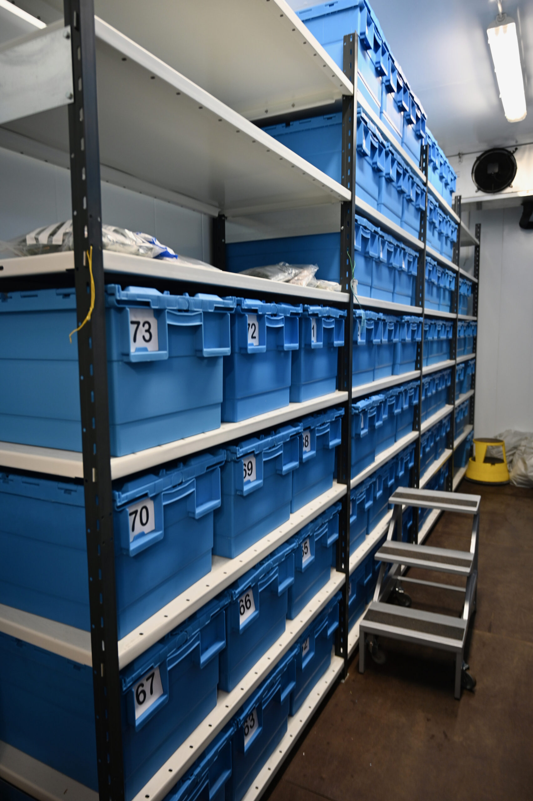 Tool Storage Solutions: Organization for Efficiency (image credits: wikimedia)