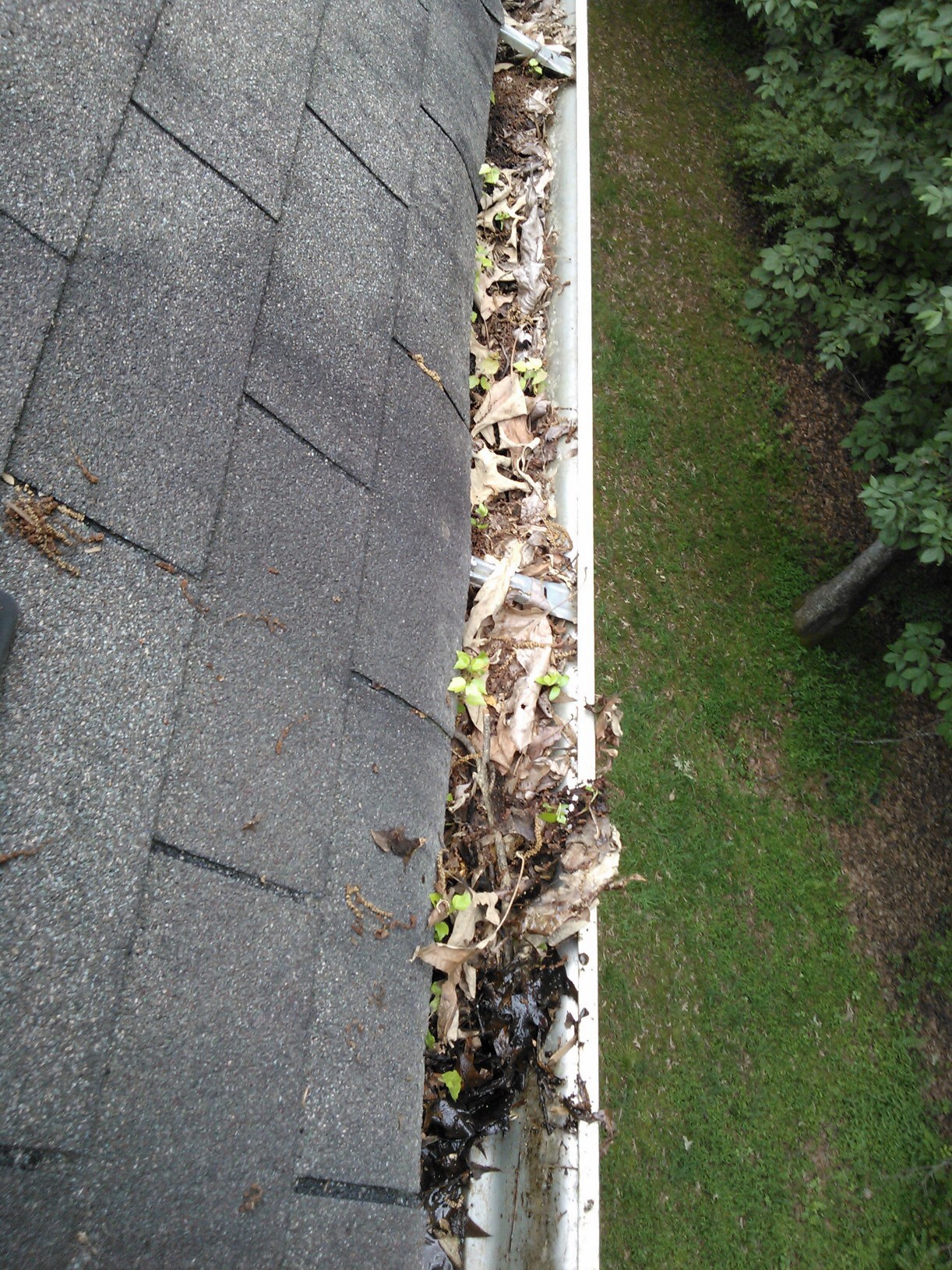Cleaning Gutters (image credits: wikimedia)