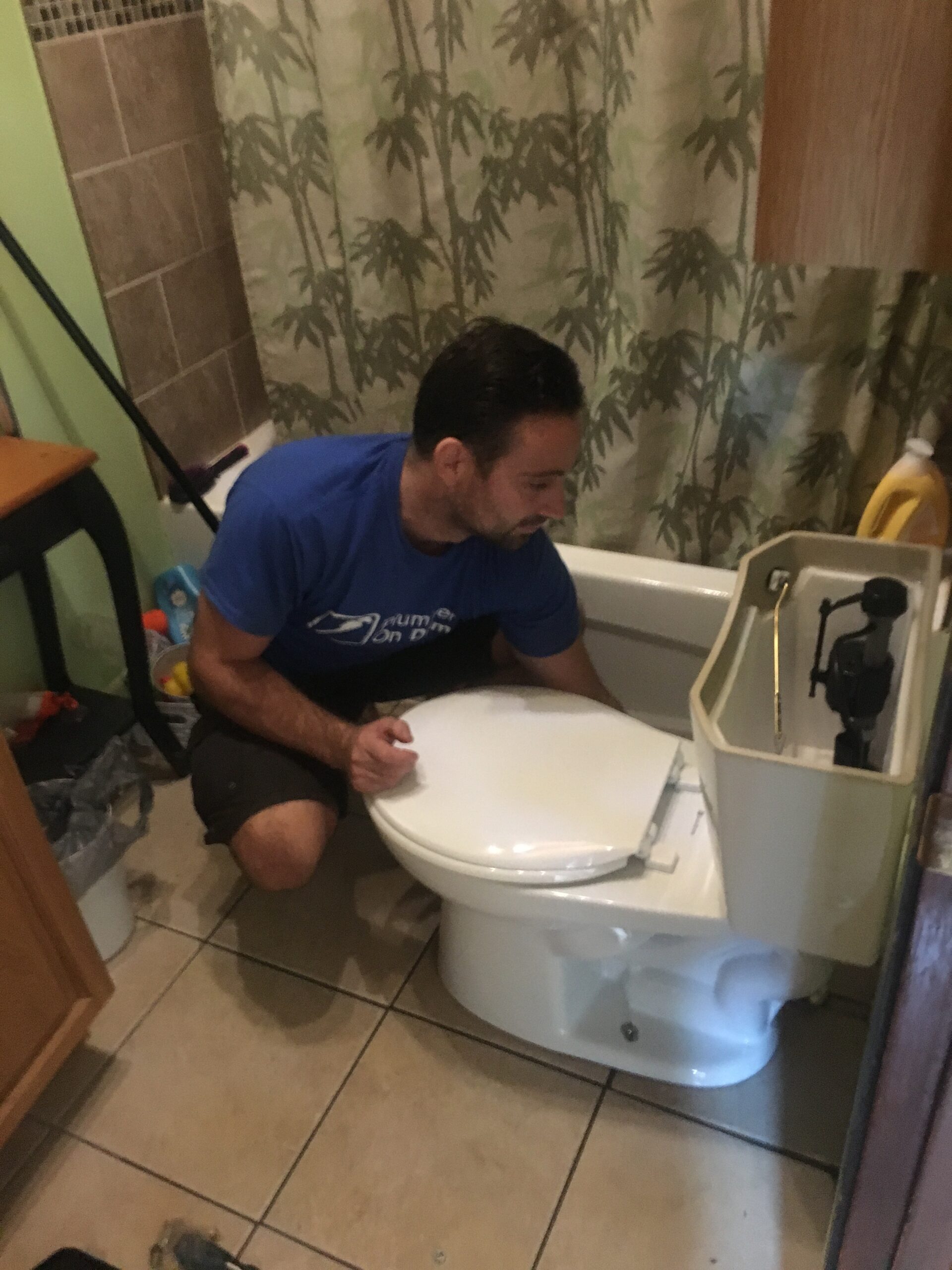 Fixing Running Toilets (image credits: wikimedia)