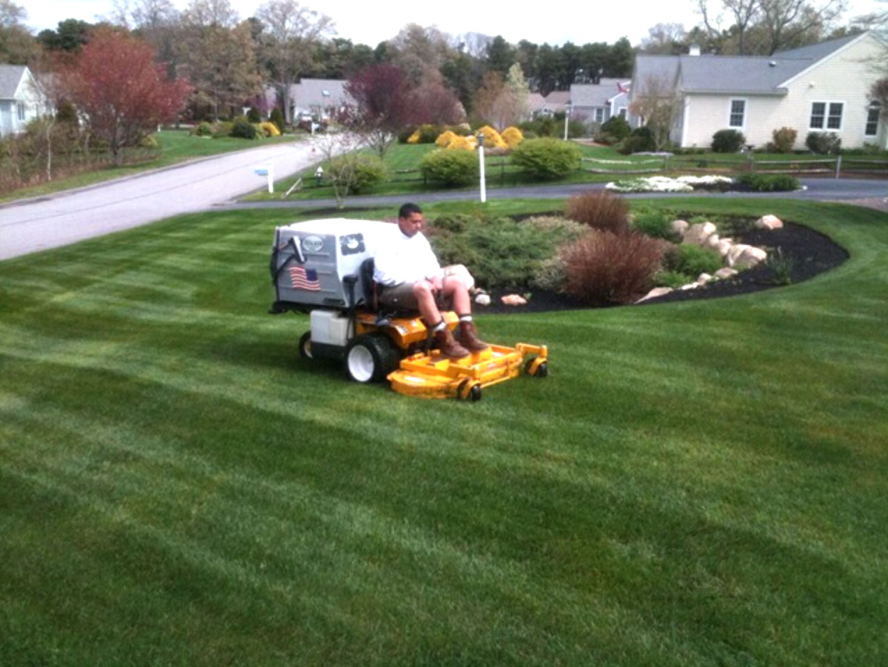 Lawn Care and Maintenance (image credits: wikimedia)