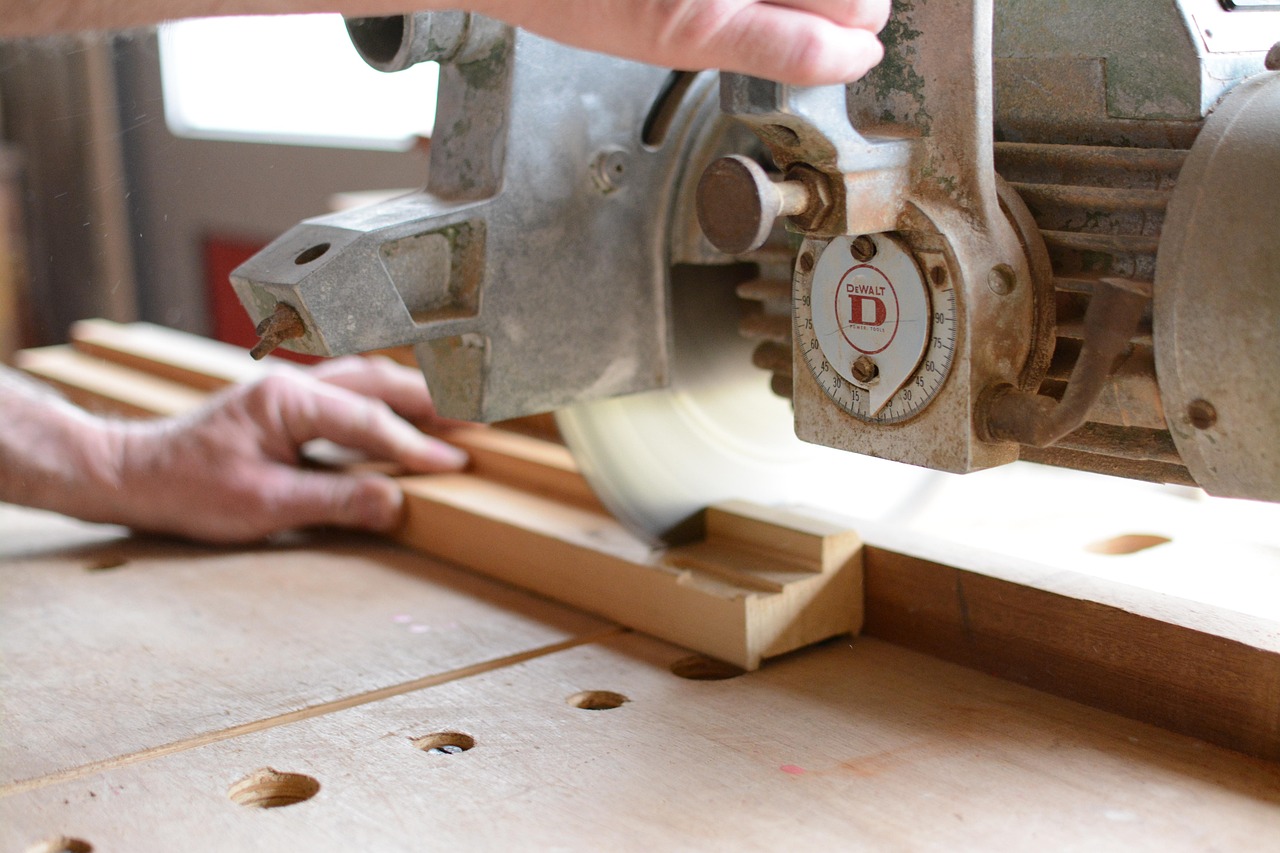 Learning from the Masters: Traditions Passed Down Generations (image credits: pixabay)