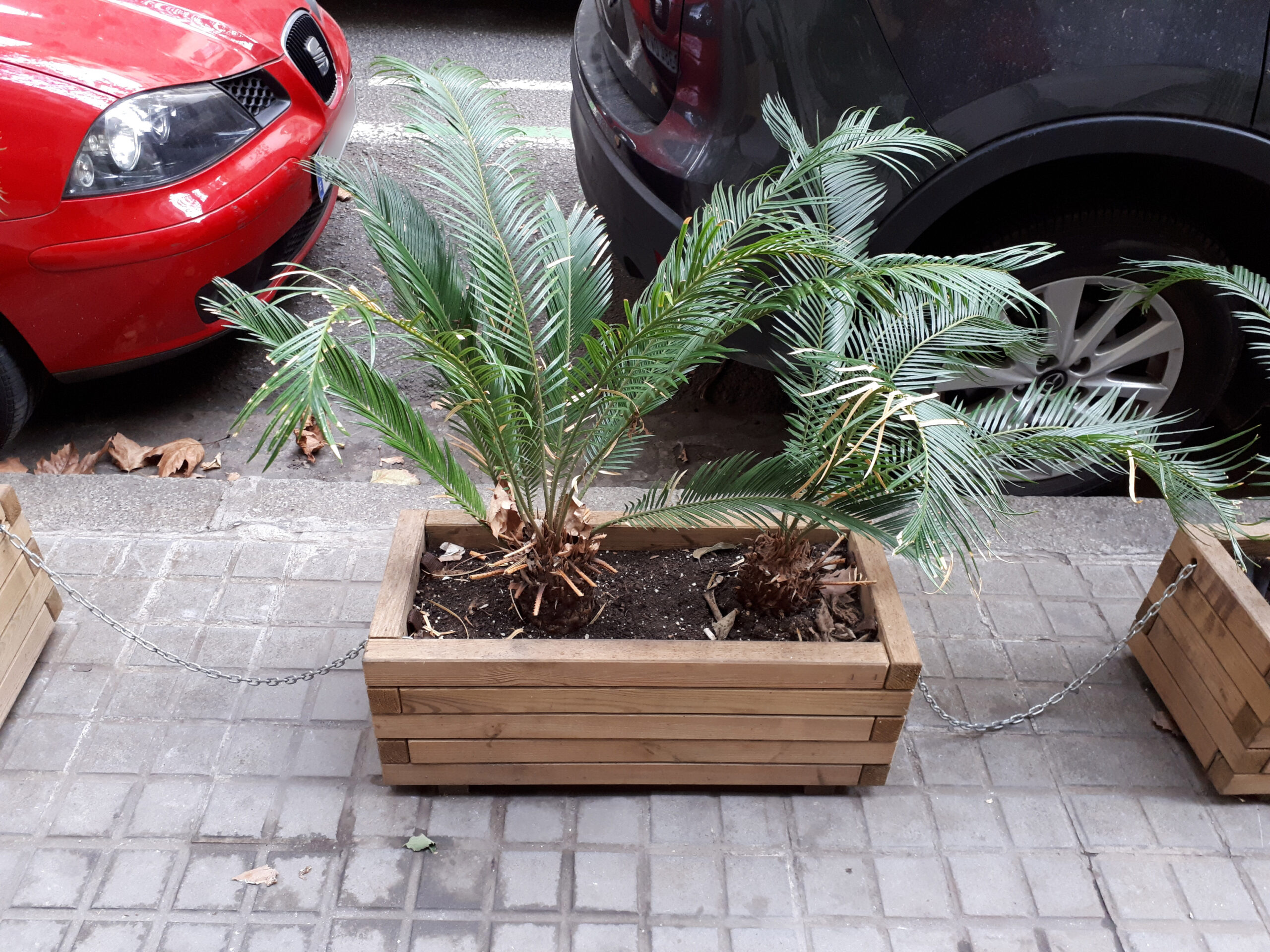 Wooden Planter Box (image credits: wikimedia)