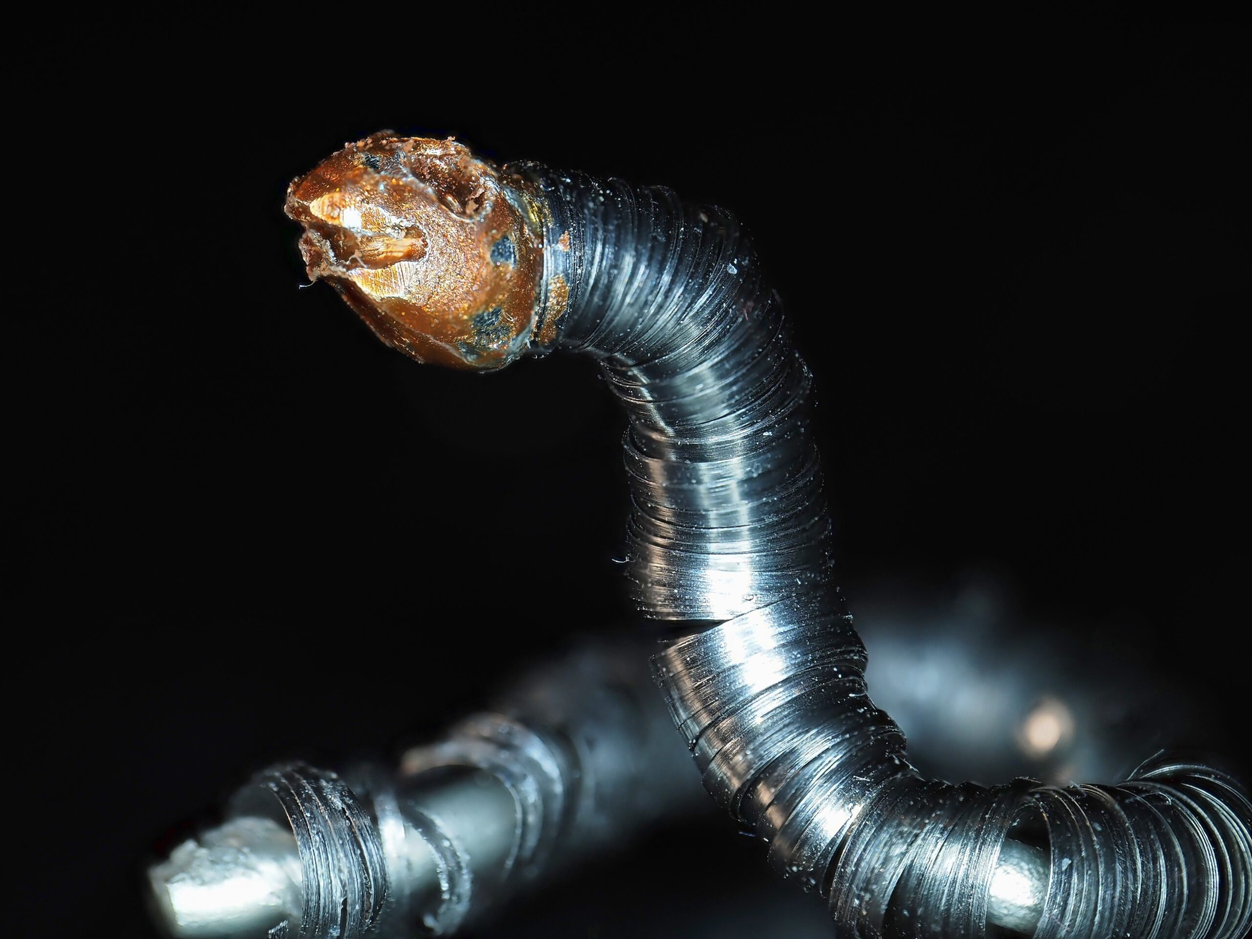 Digging Deeper: What Really Happened? (image credits: wikimedia)