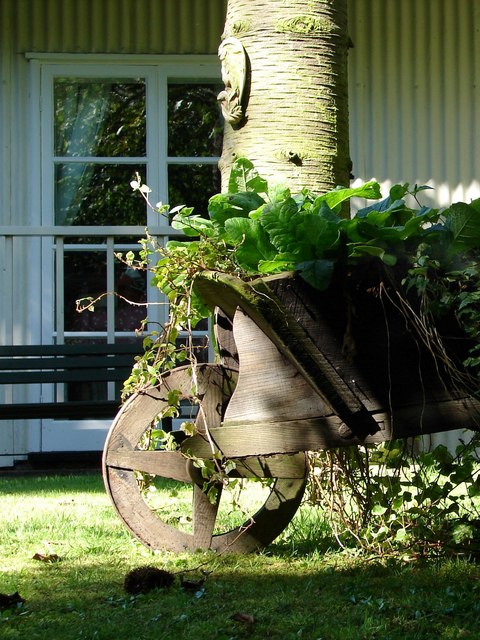 Garden Planter Box (image credits: wikimedia)