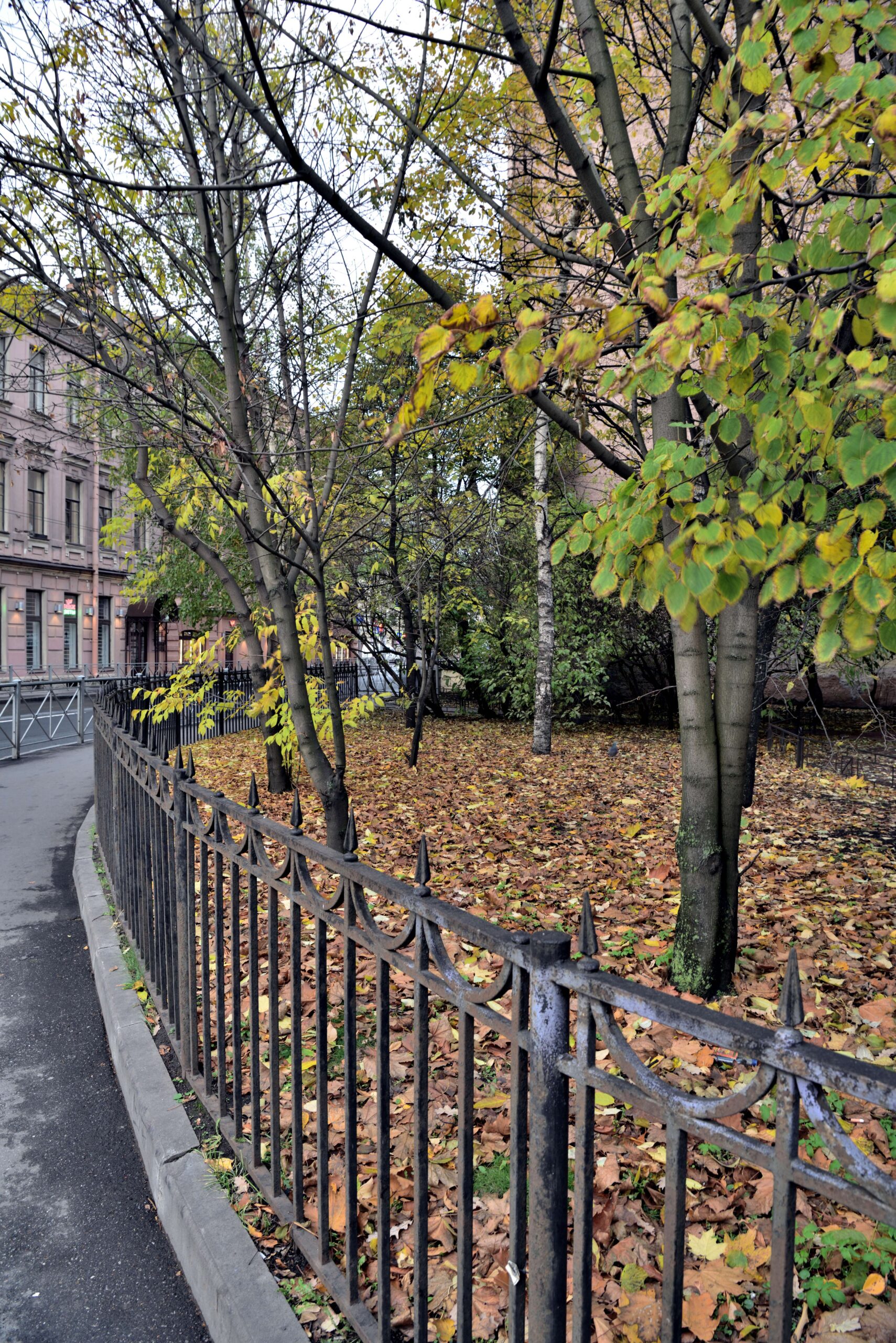 Metal Garden Fence: Modern Edge with Endless Possibilities (image credits: wikimedia)