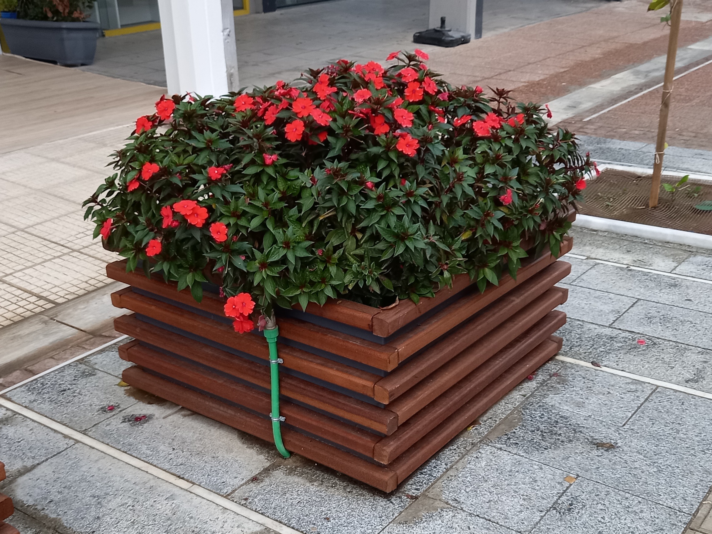 Garden Planters: Growing Creativity and Green Spaces (image credits: wikimedia)