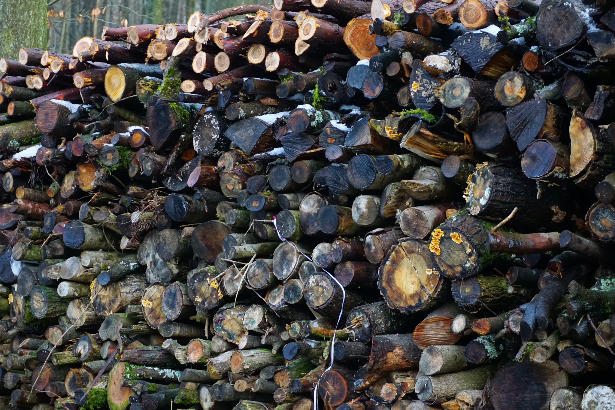 Seasonal Strategies: Adapting Storage to Weather Changes (image credits: wikimedia)