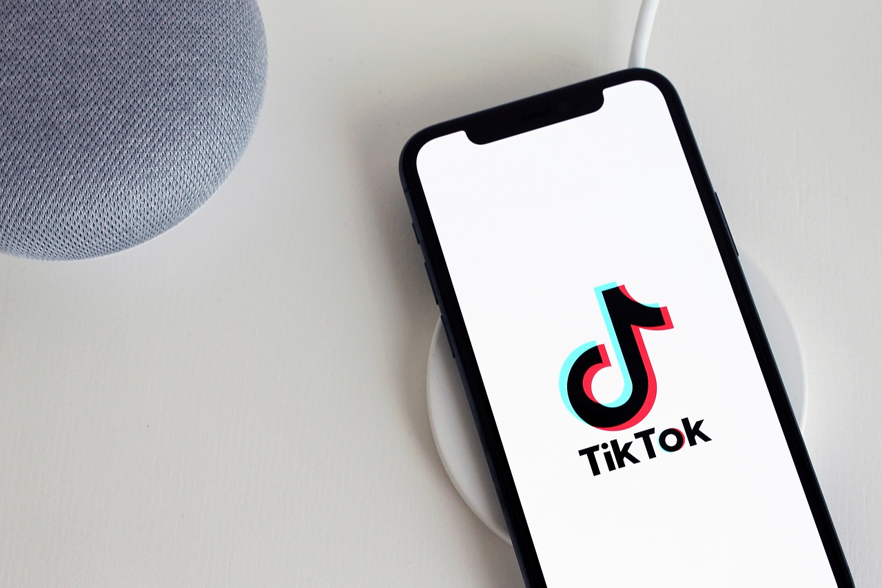 What Makes TikTok Home Repair Tricks So Popular? (image credits: pixabay)