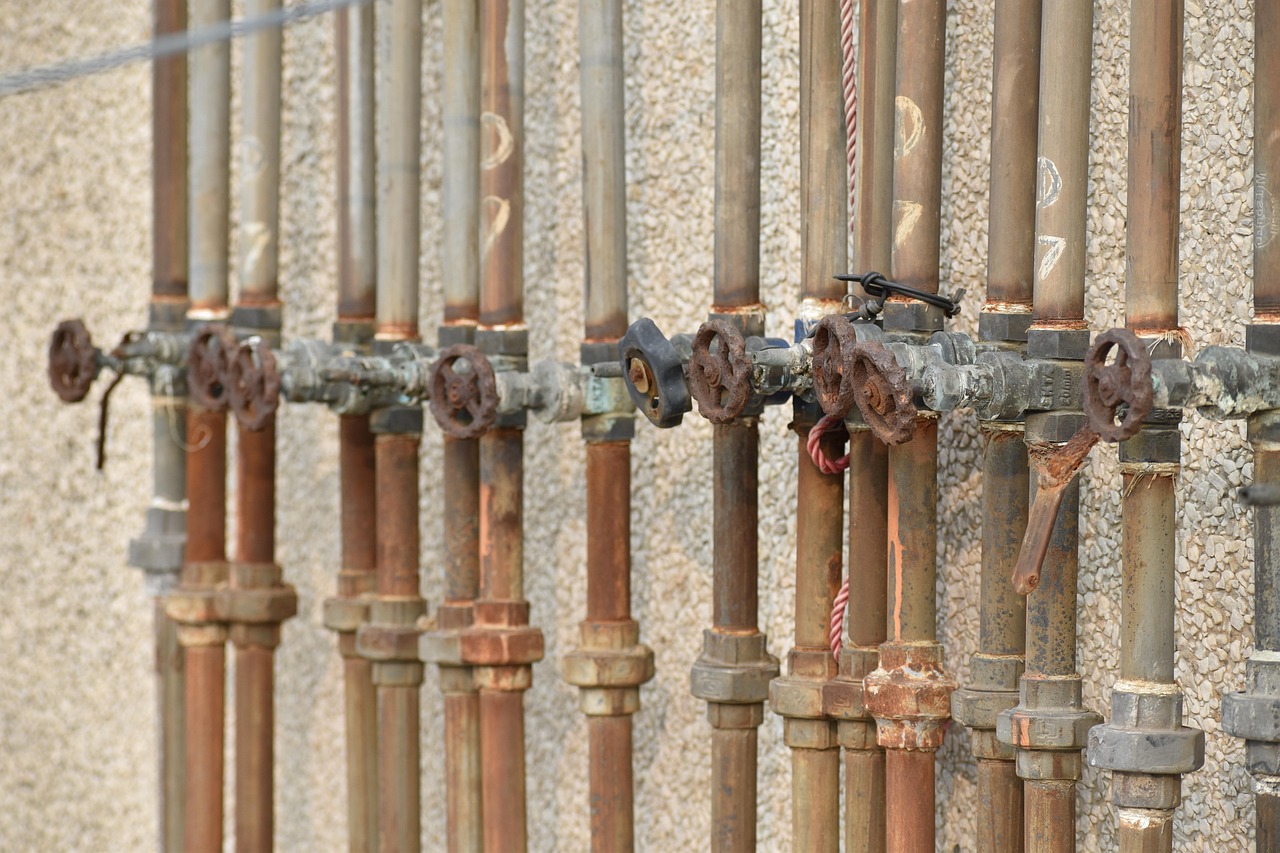 Step-by-Step: My Repair Experience (image credits: pixabay)