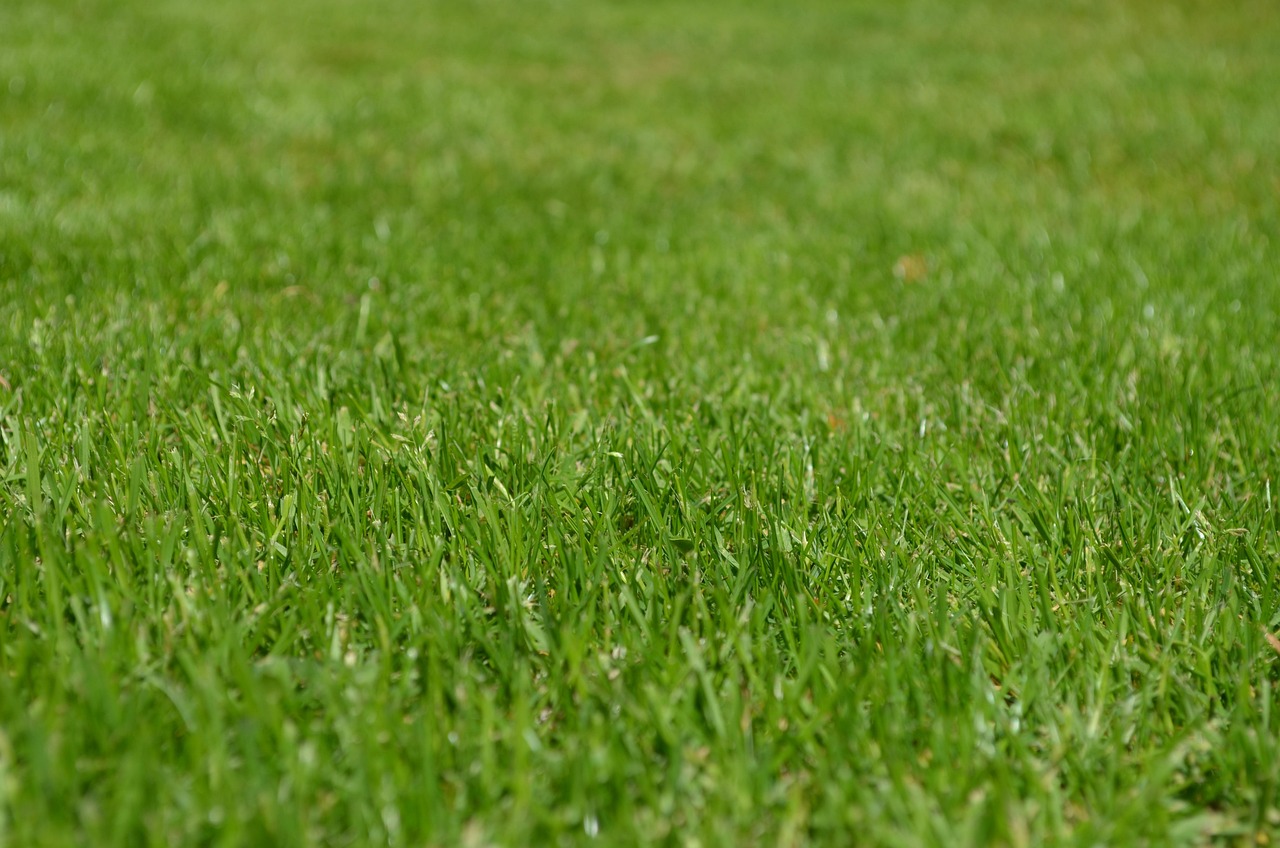 Revamp Your Landscaping (image credits: pixabay)