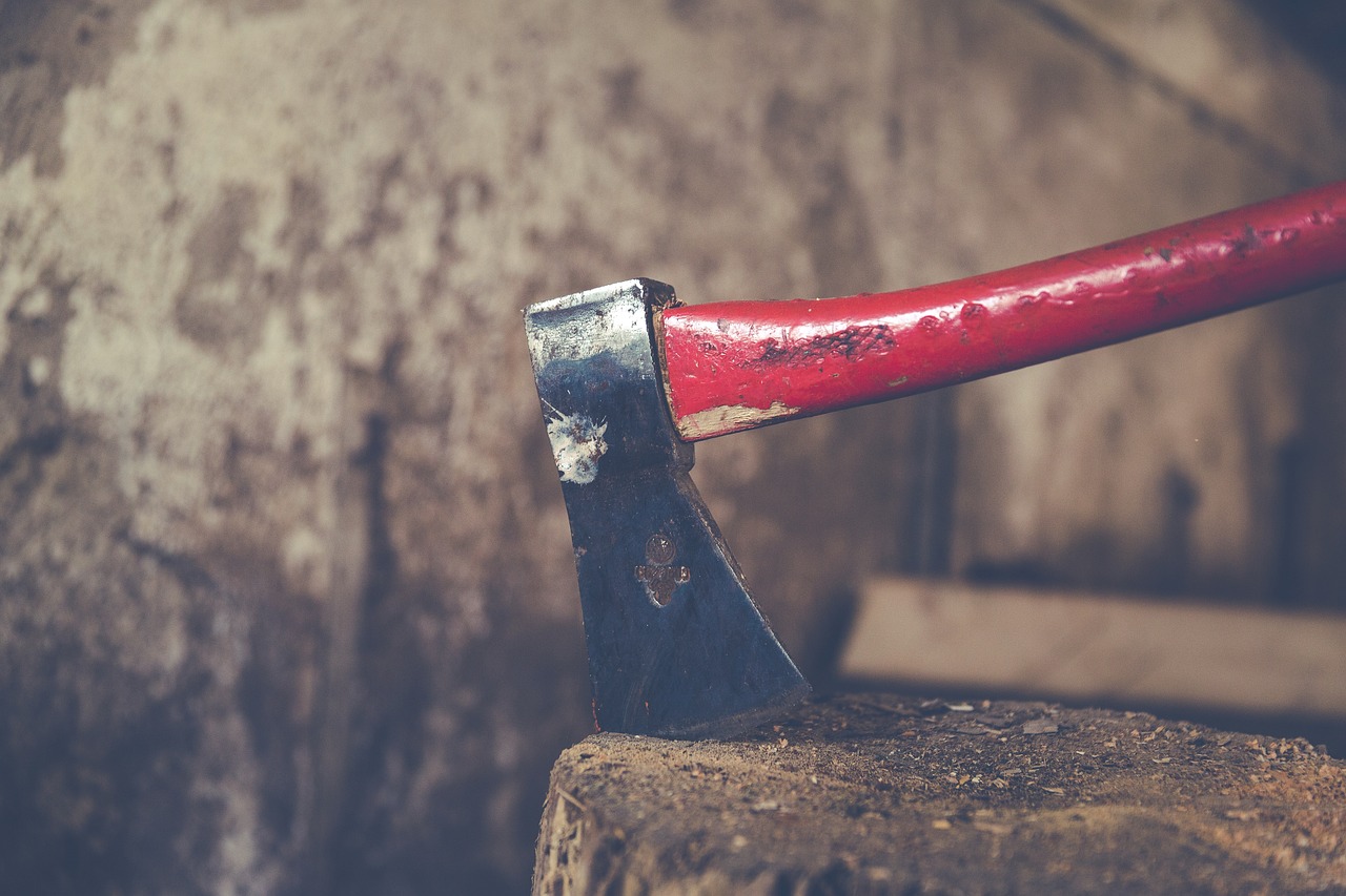 First Impressions: Out of the Box (image credits: pixabay)