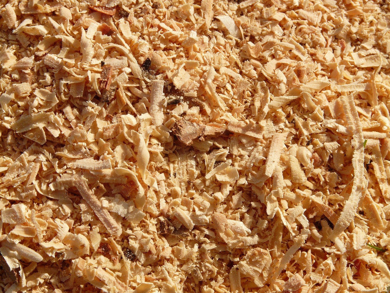 The Surprising Joy of Sawdust (image credits: pixabay)