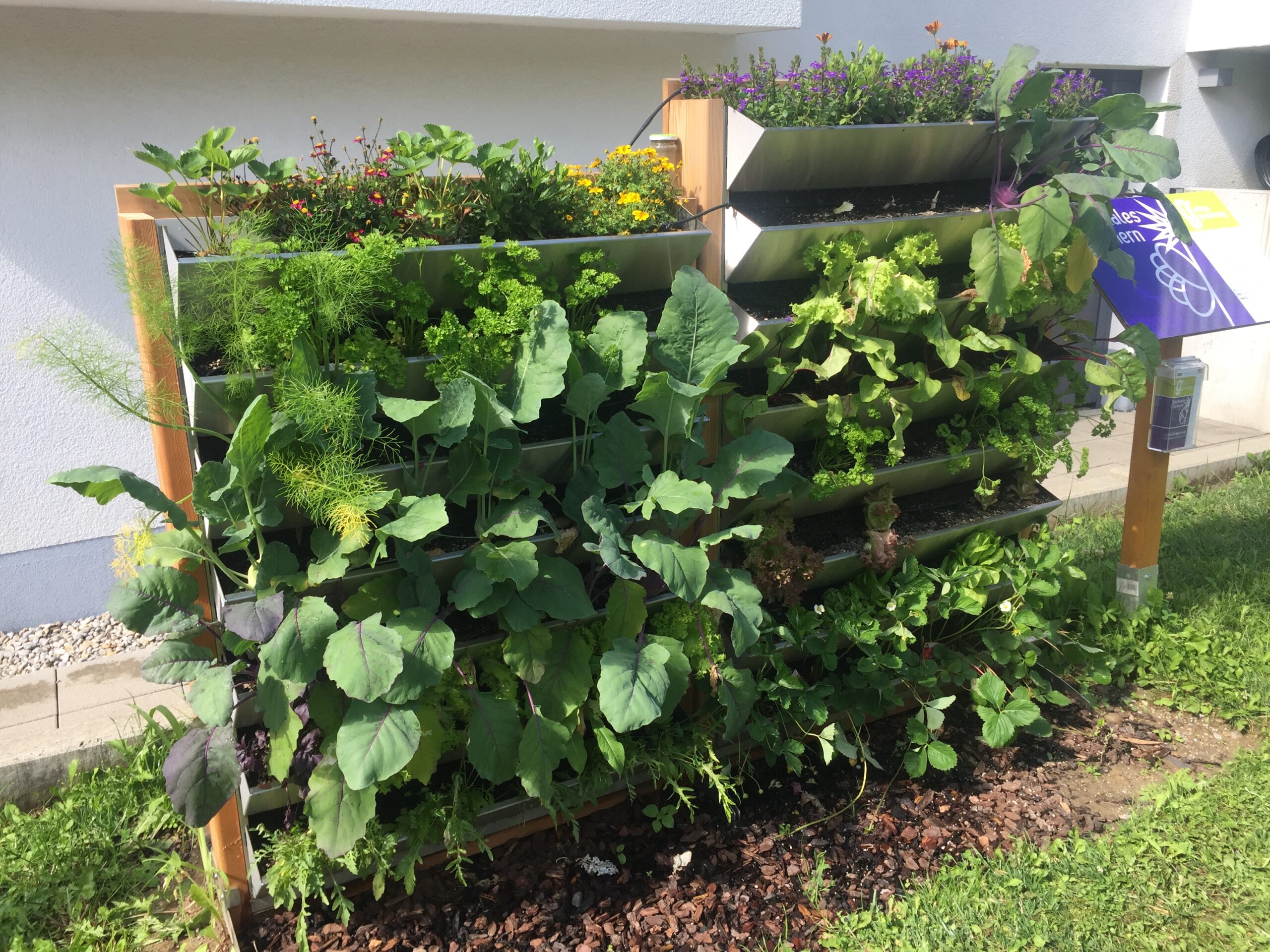 Vertical Gardens: Grow Up, Not Out (image credits: wikimedia)