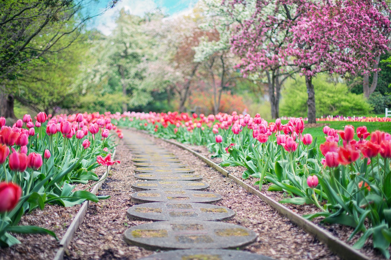 Garden Pathways: Walk This Way (image credits: pixabay)
