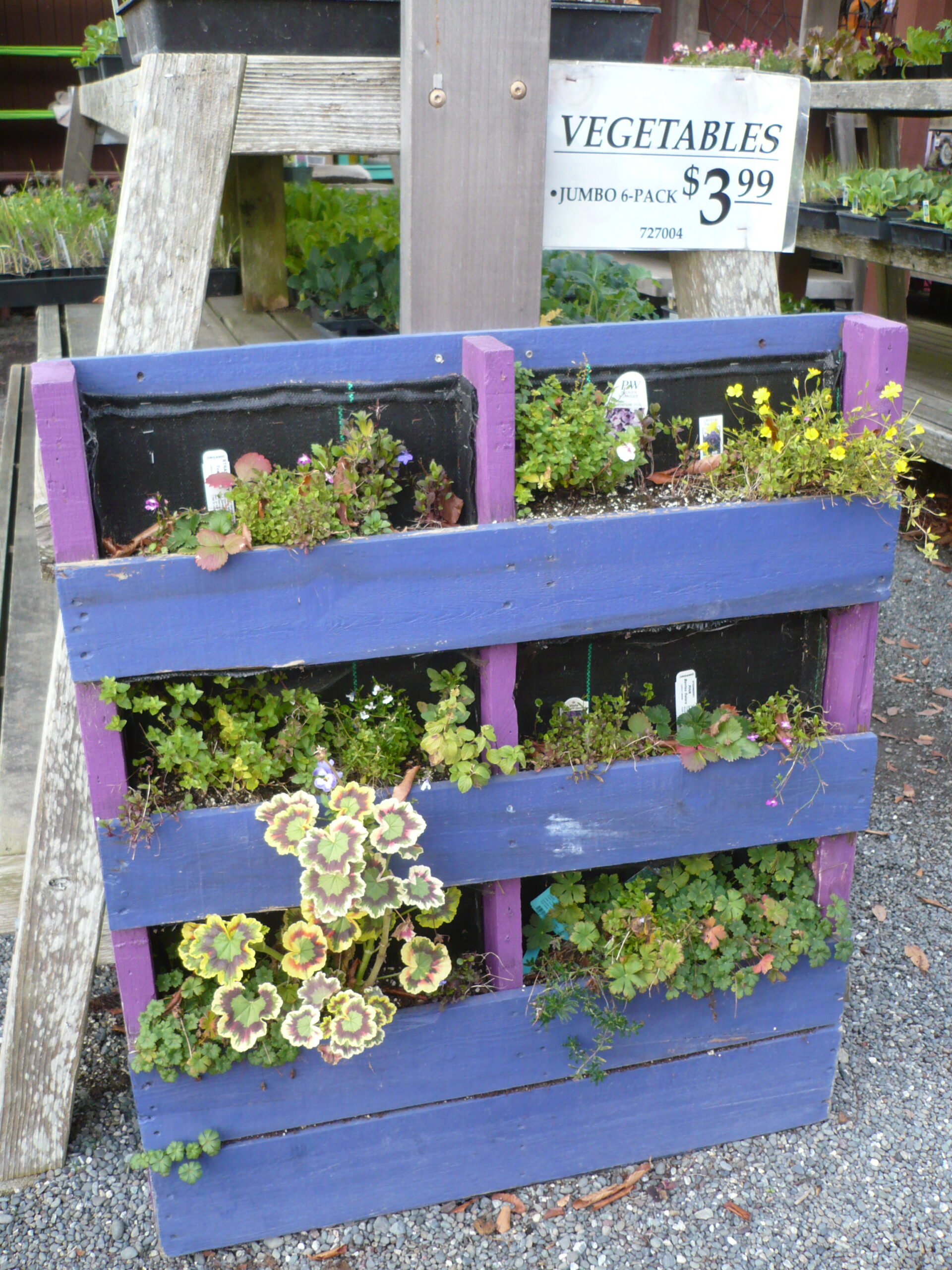 Pallet Raised Beds