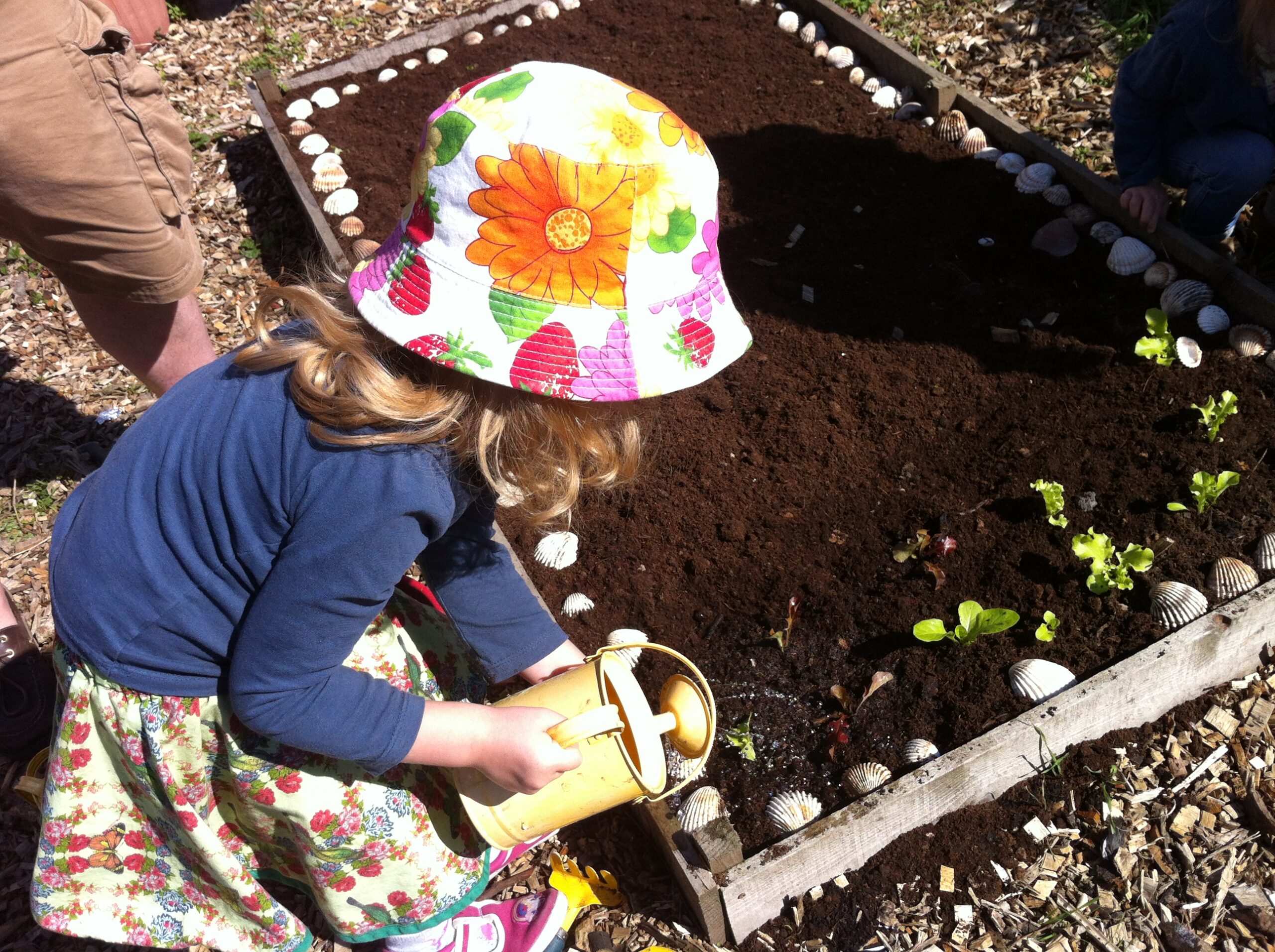 Create a Raised Garden Bed (image credits: wikimedia)