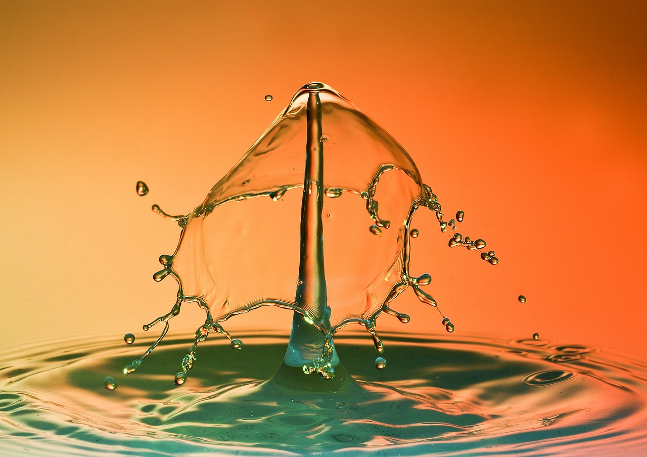 Make a Backyard Water Feature (image credits: pixabay)