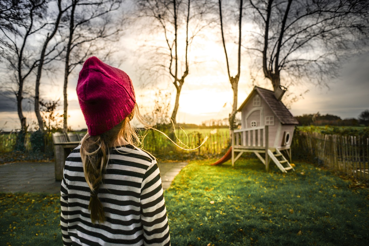 Construct a Fort or Playhouse (image credits: pixabay)