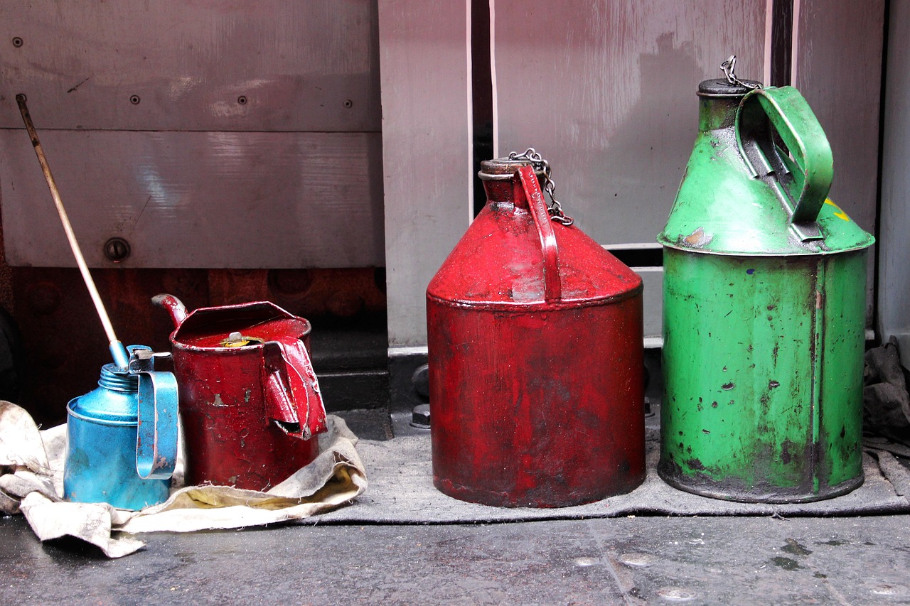 Lubricating Squeaky Door Hinges (image credits: pixabay)