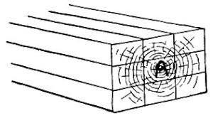 The Three-Cut Rule That Will Save Your Sanity (image credits: wikimedia)