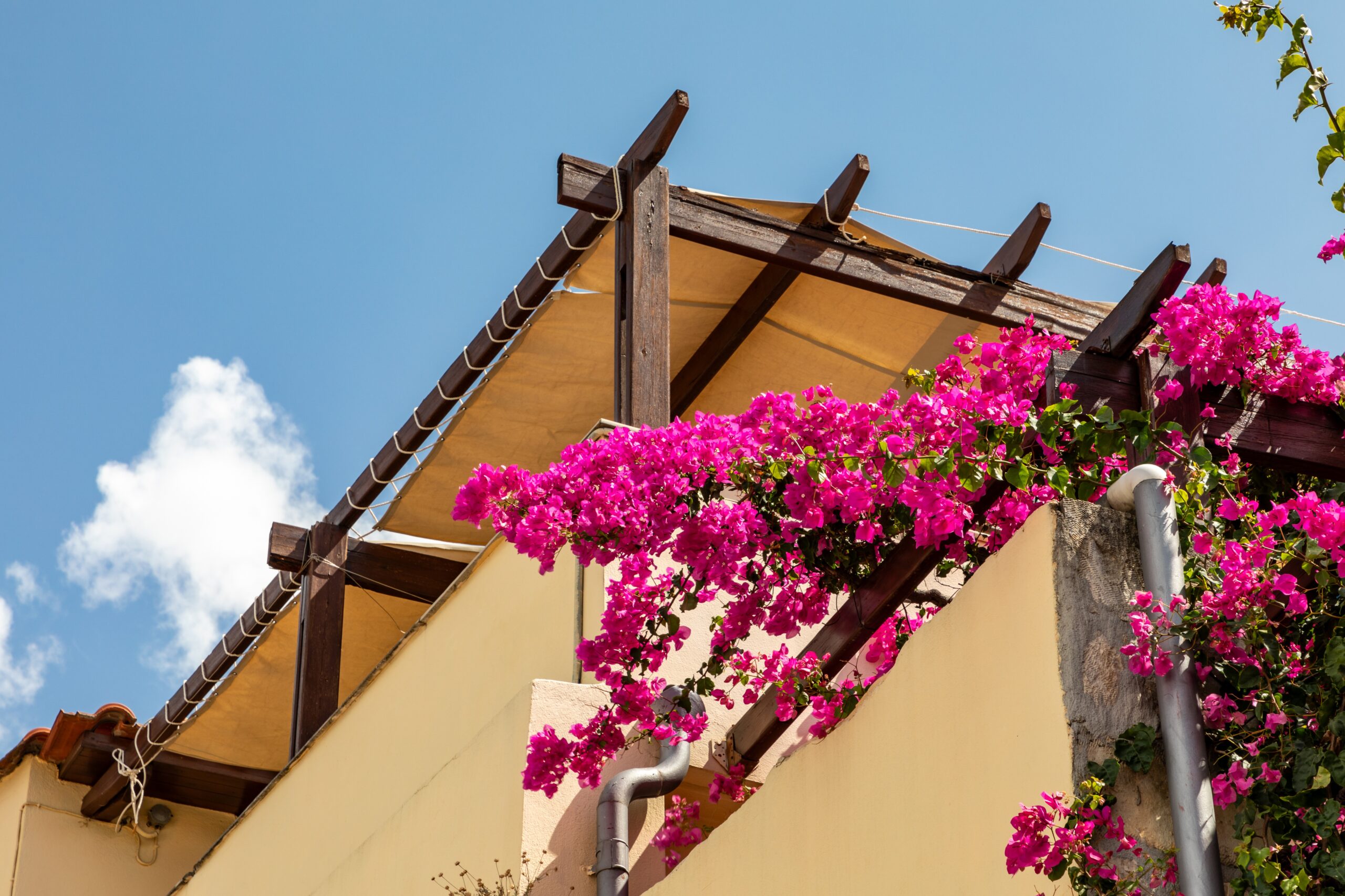 How a DIY Pergola Can Boost Your Home’s Value (image credits: wikimedia)