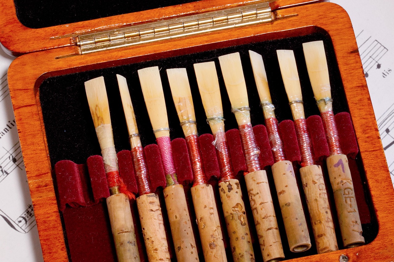 Proper Storage Techniques (image credits: pixabay)