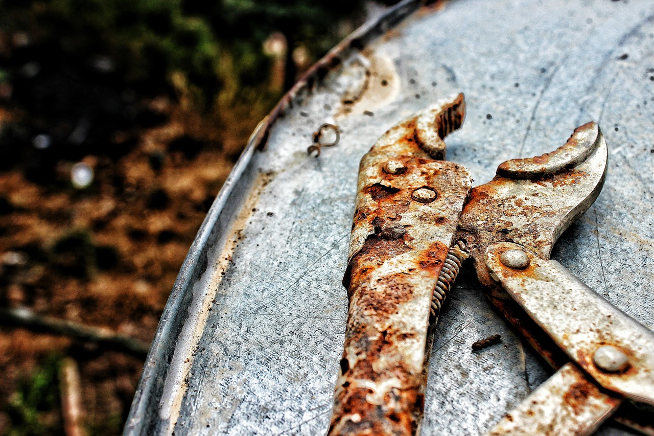 The Cost of Ignoring Rust (image credits: pixabay)