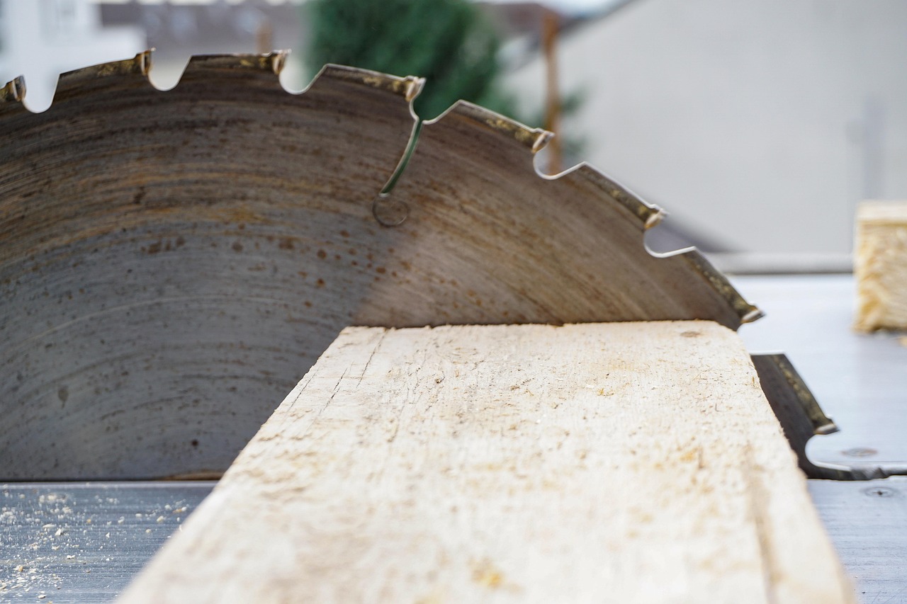 The Table Saw Market is Booming - Here's Why You Need to Act Now (image credits: pixabay)